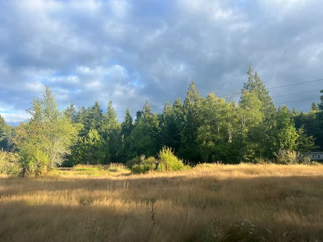Camp Mateo