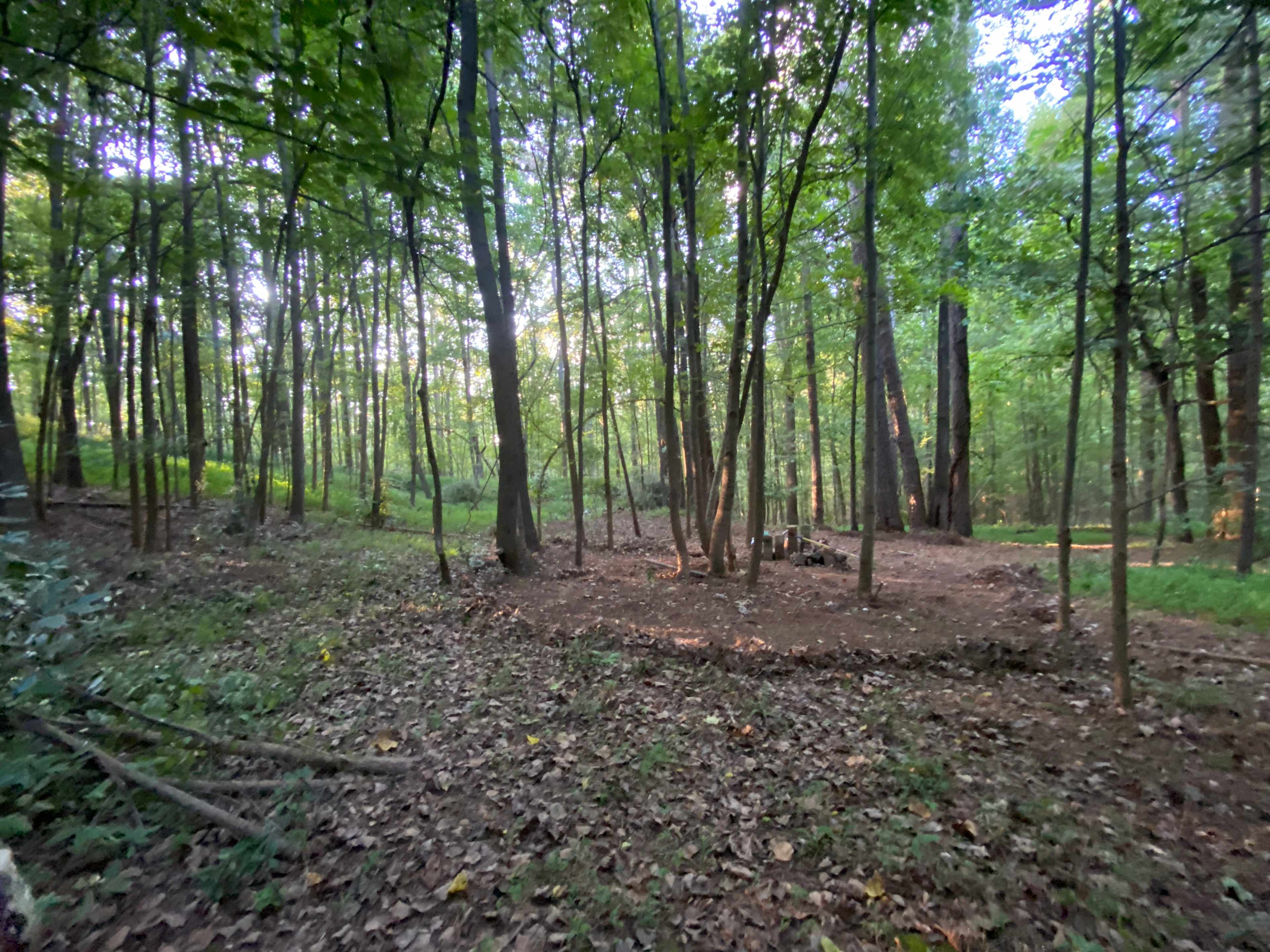 Haven Forest