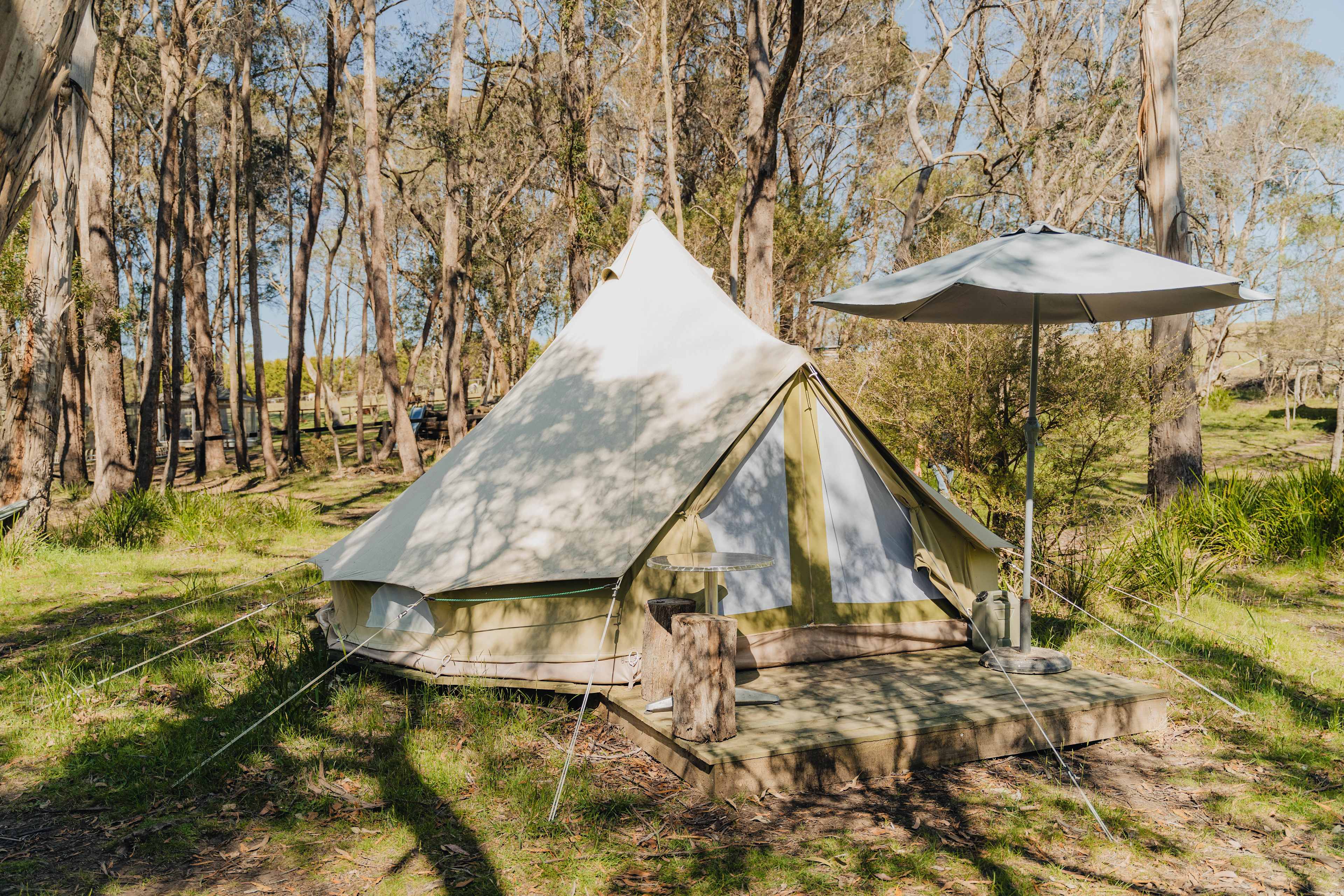 The tent