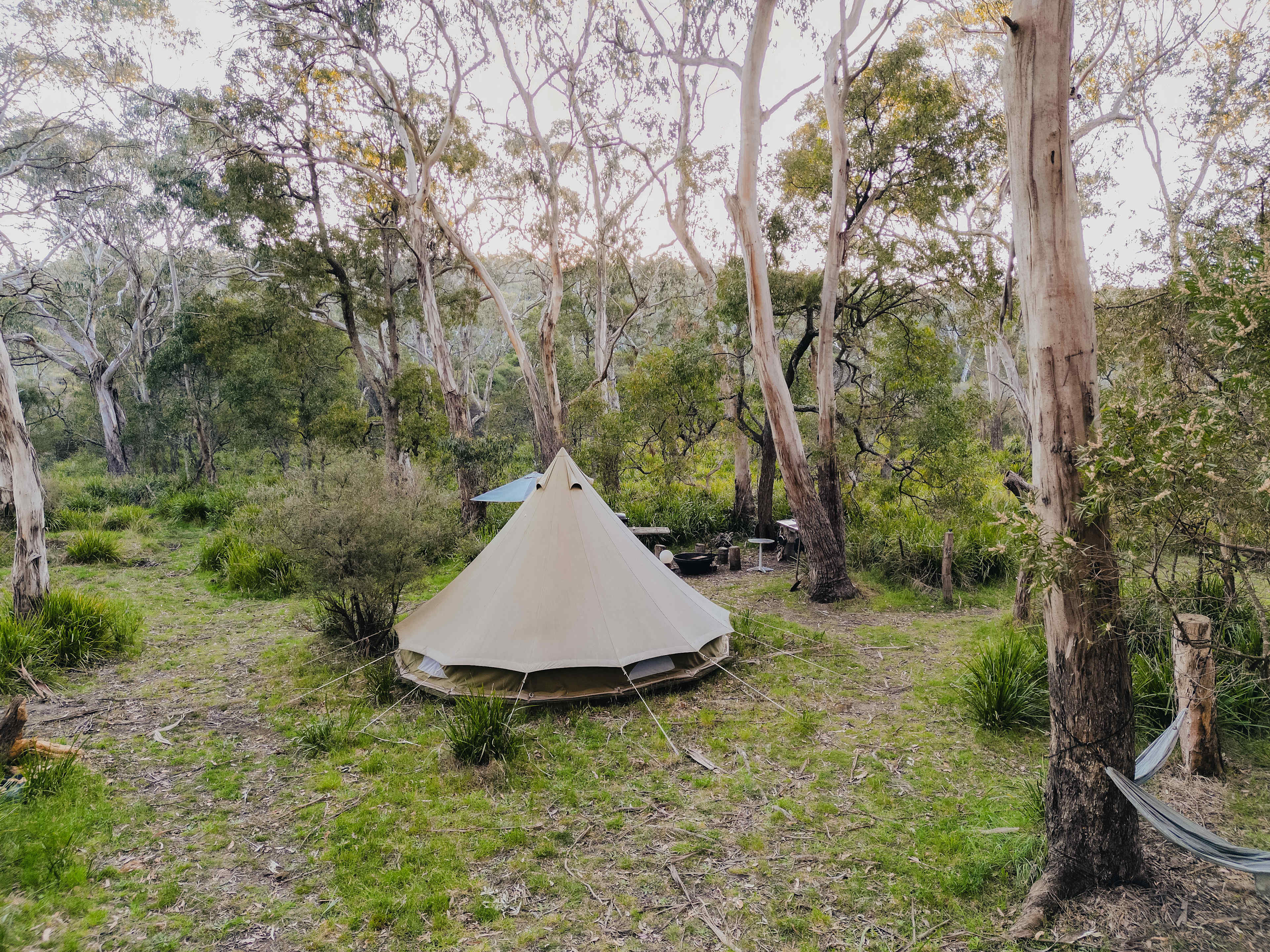 The tent setting