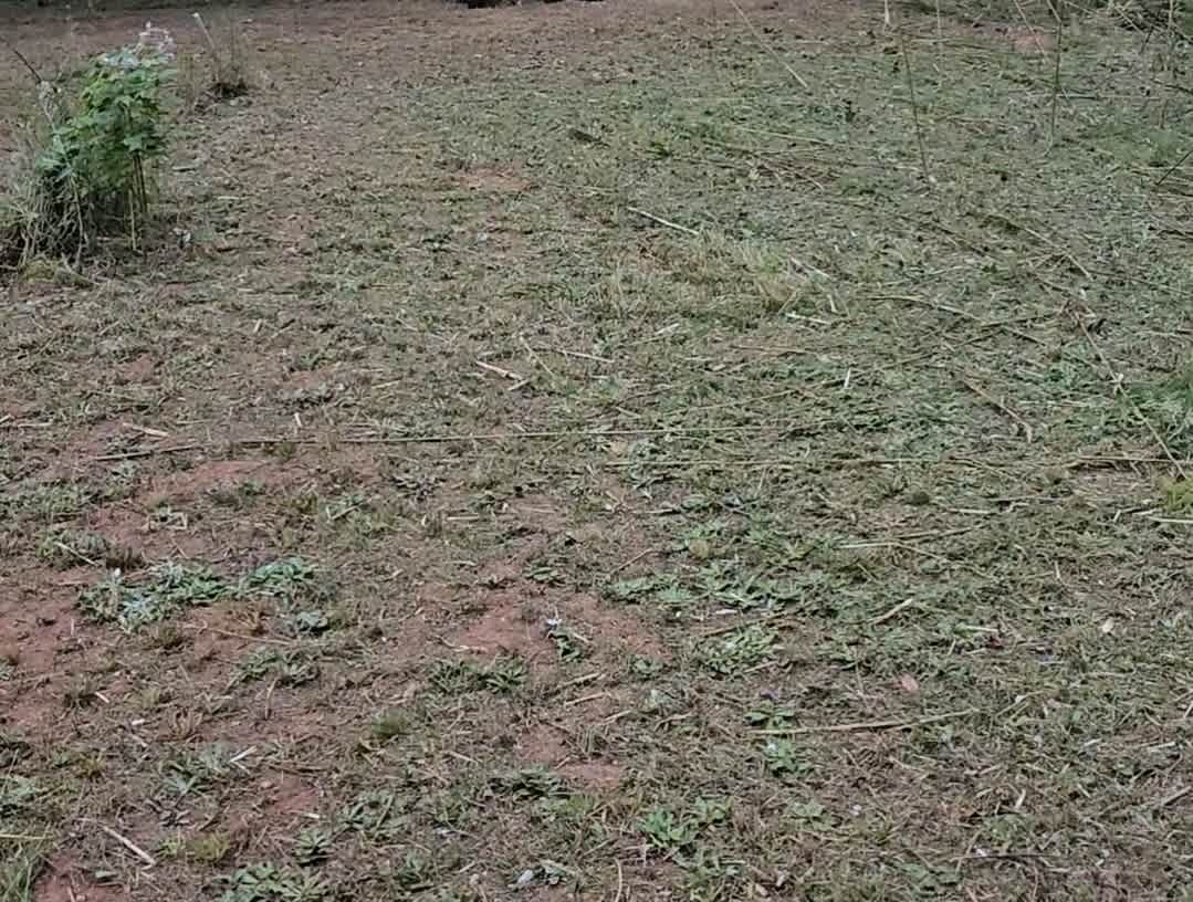 Kazmi Campsite