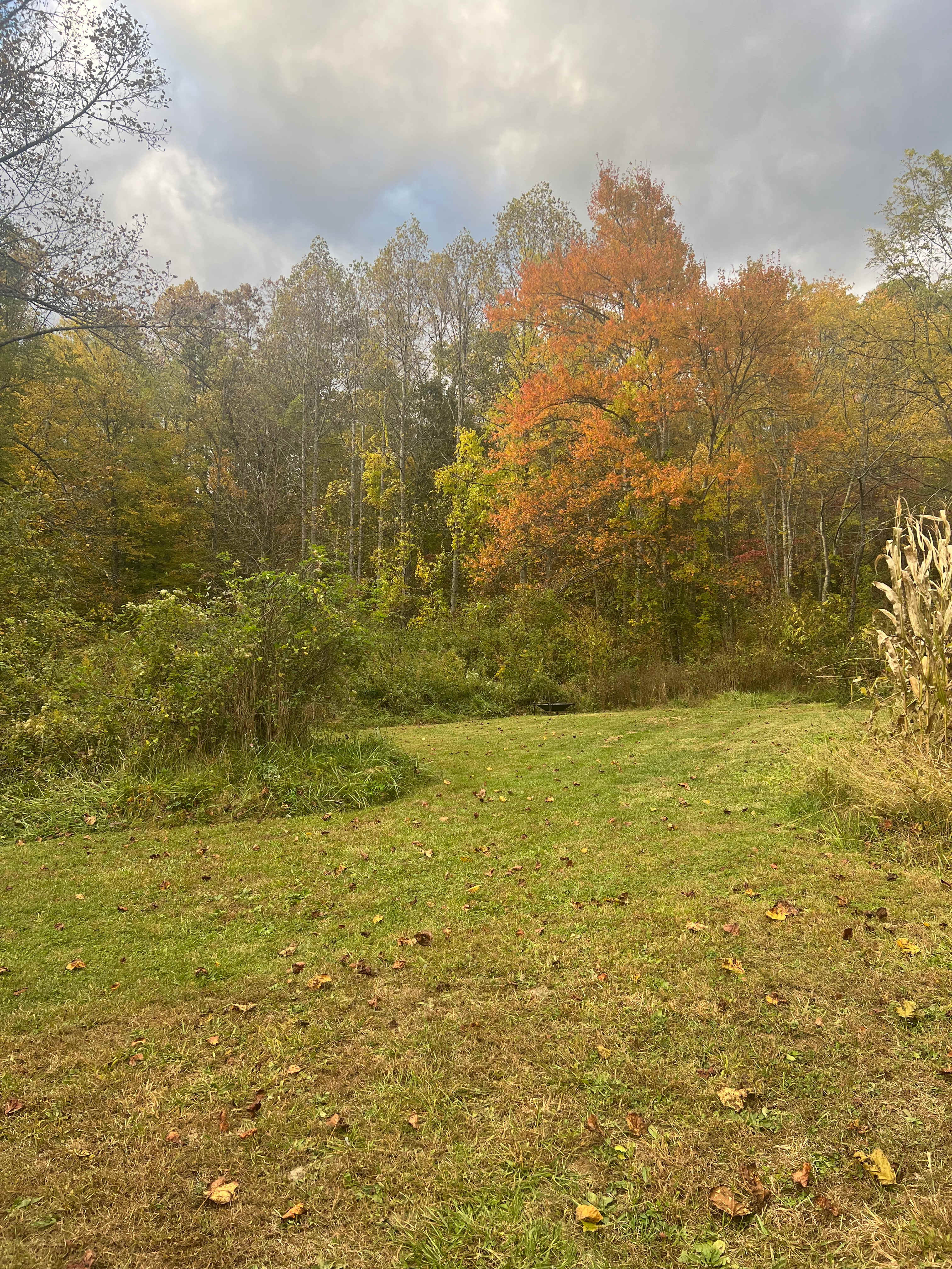 Appalachian Pond Campground