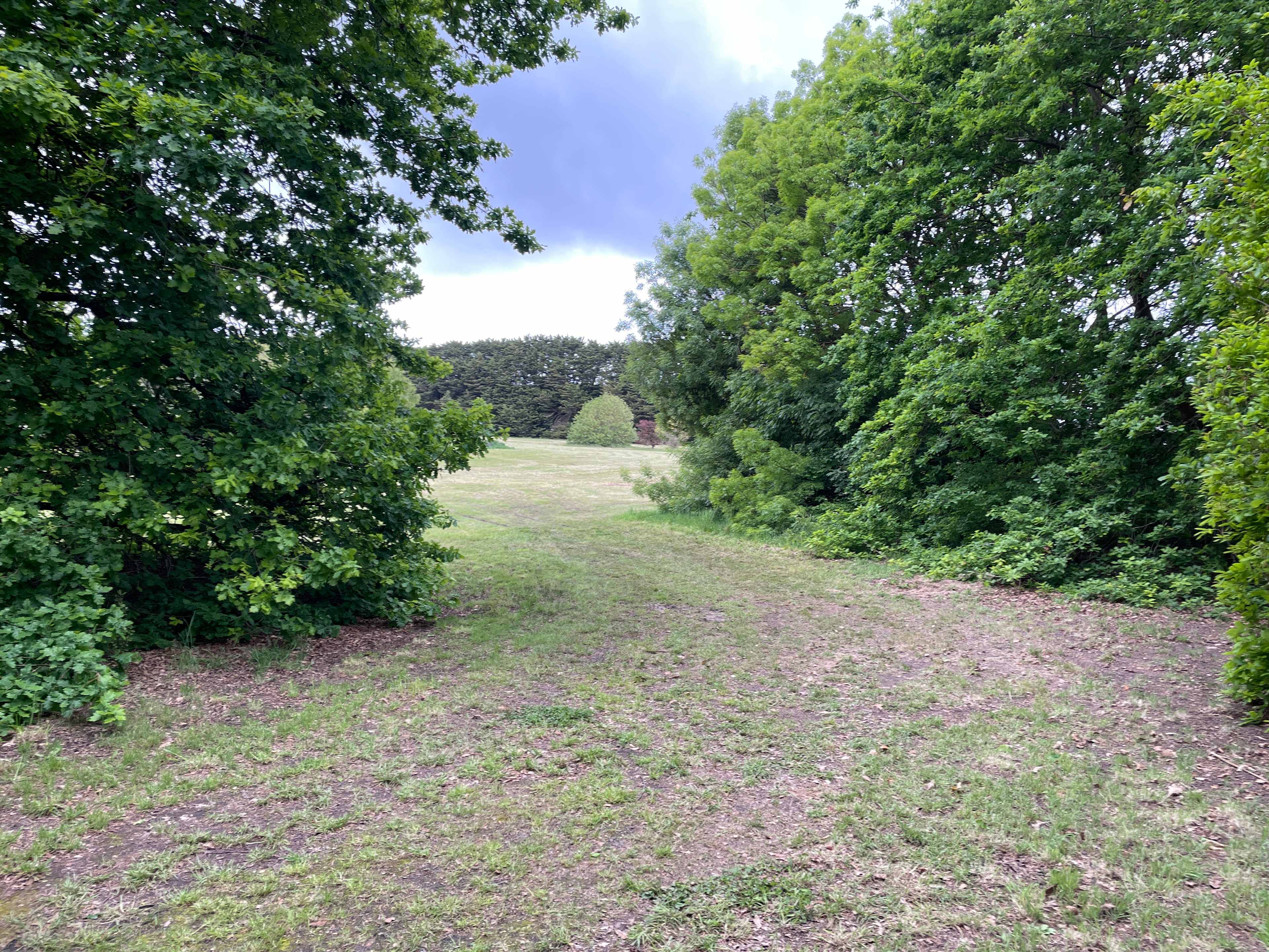 Bush horizon