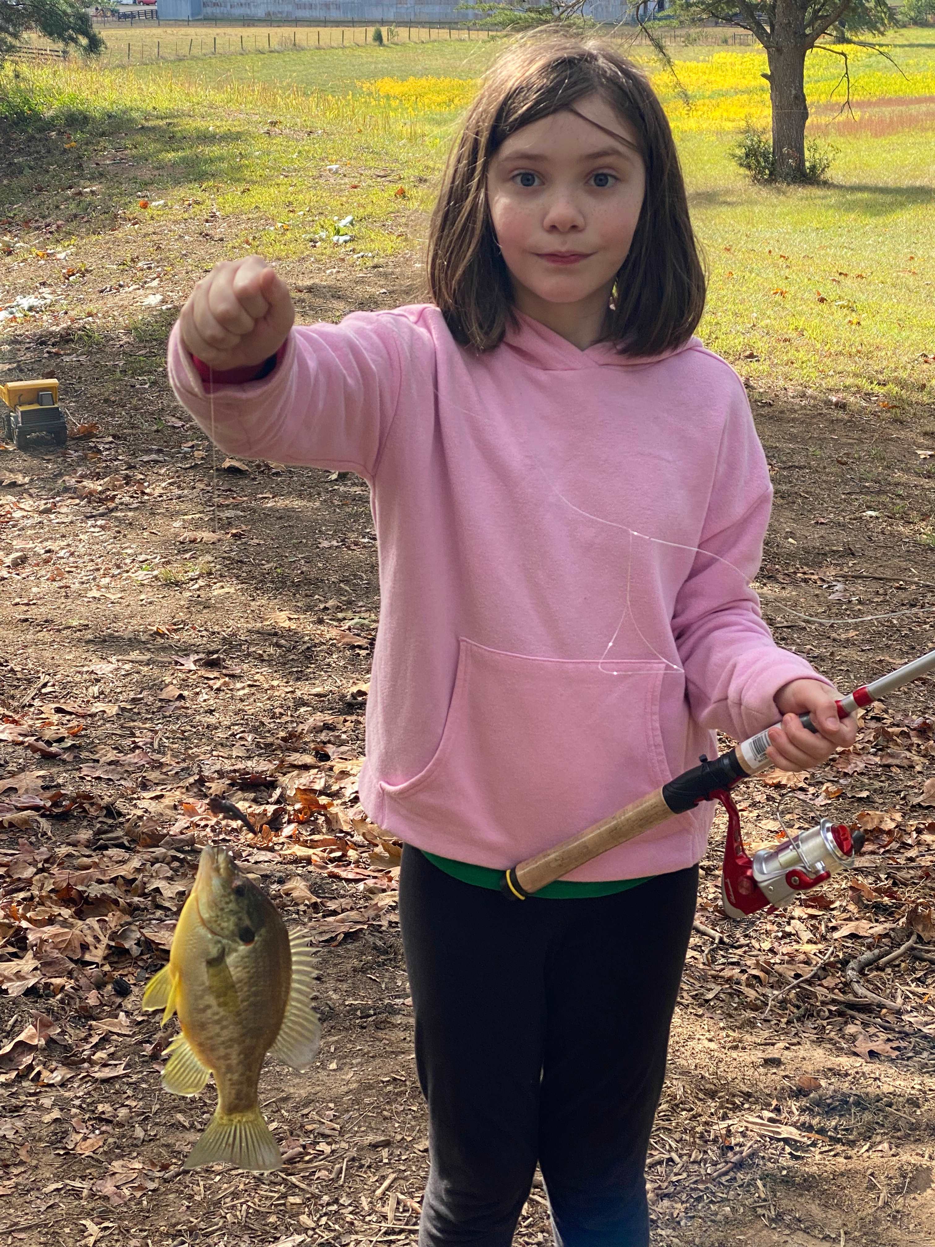 Lots of hungry fish!