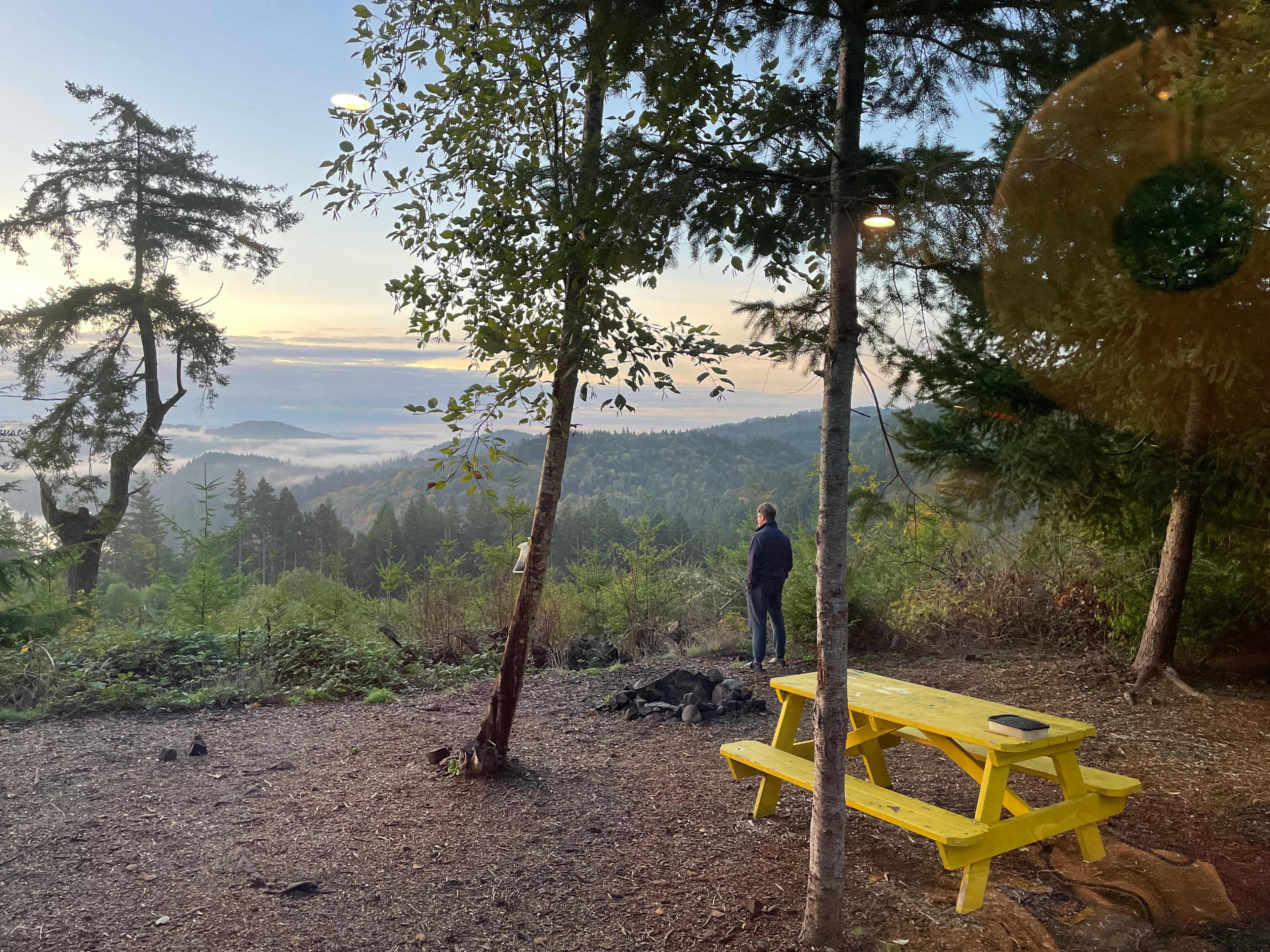 Yellow table site