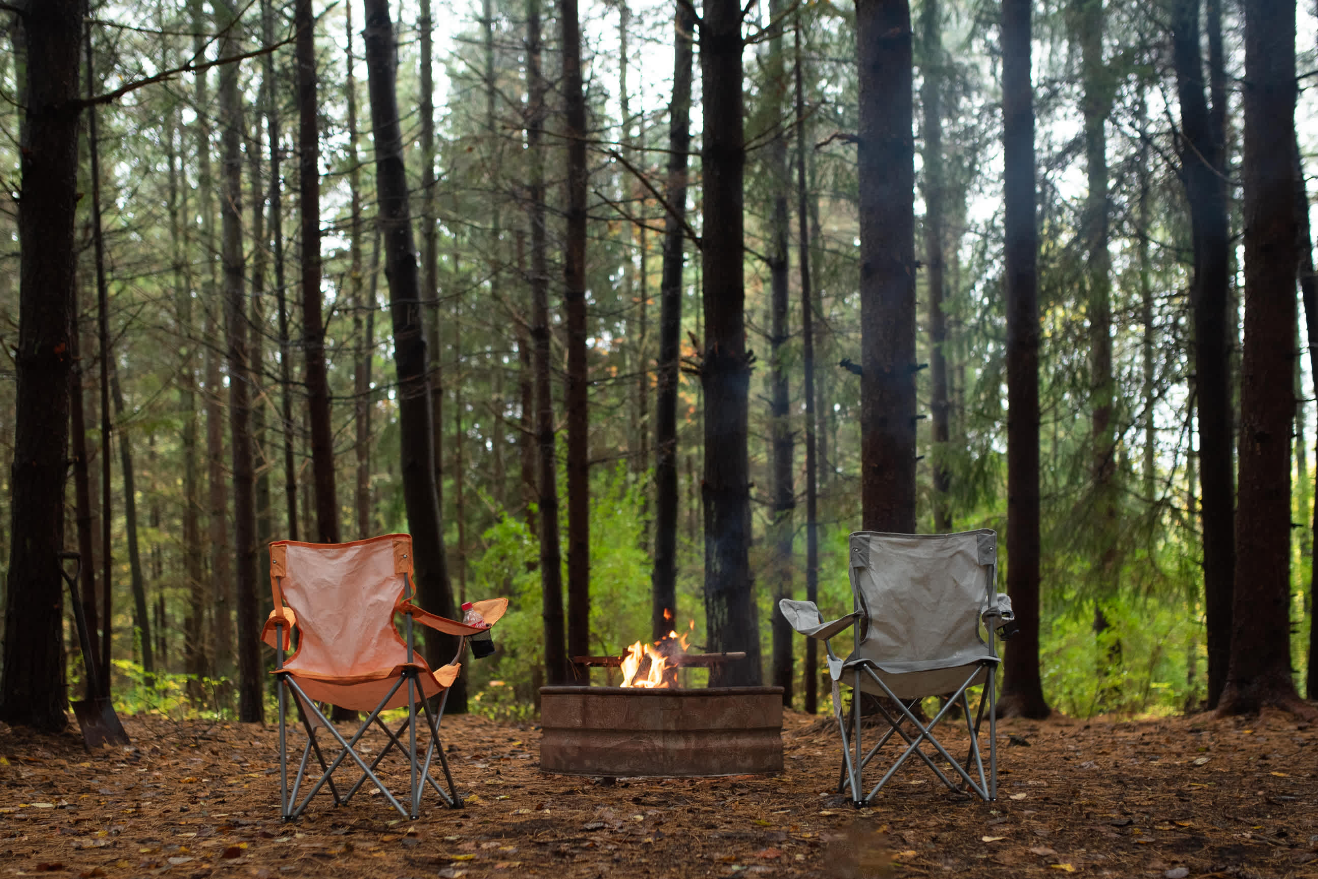 Quiet fire pit on Pine Canopy site