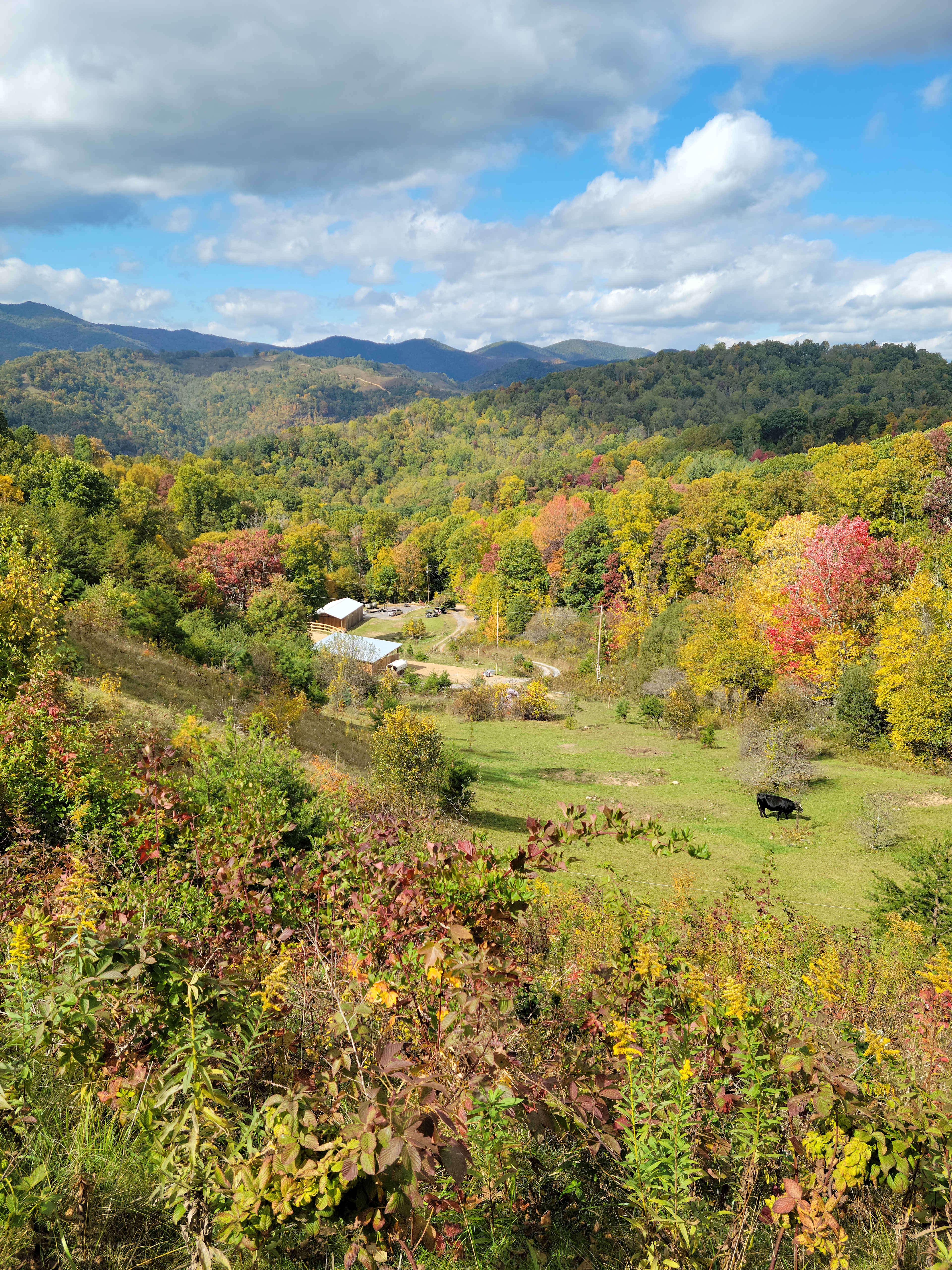 Pause || Eco-Retreat at Aramesh