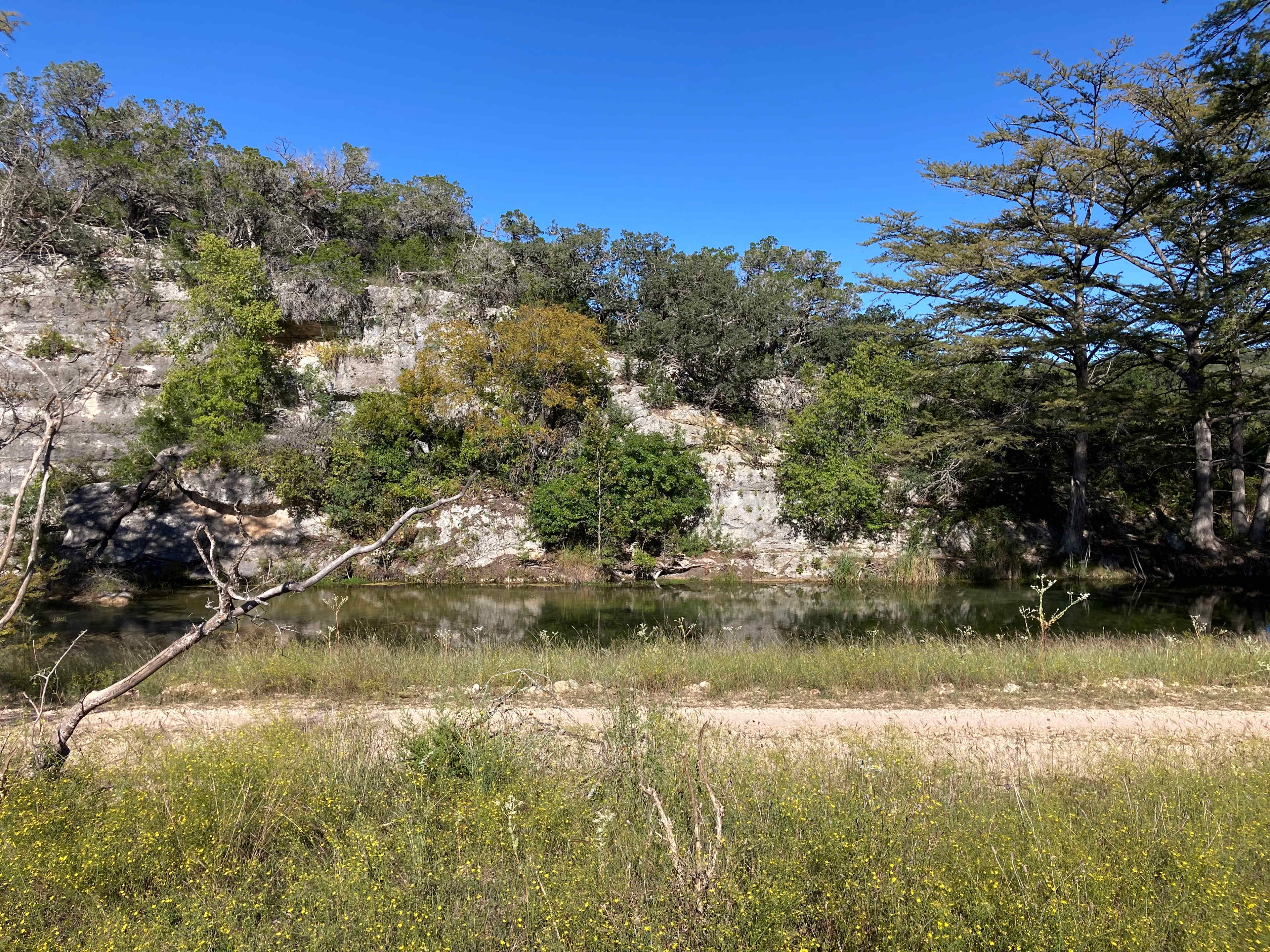 Picture of the site