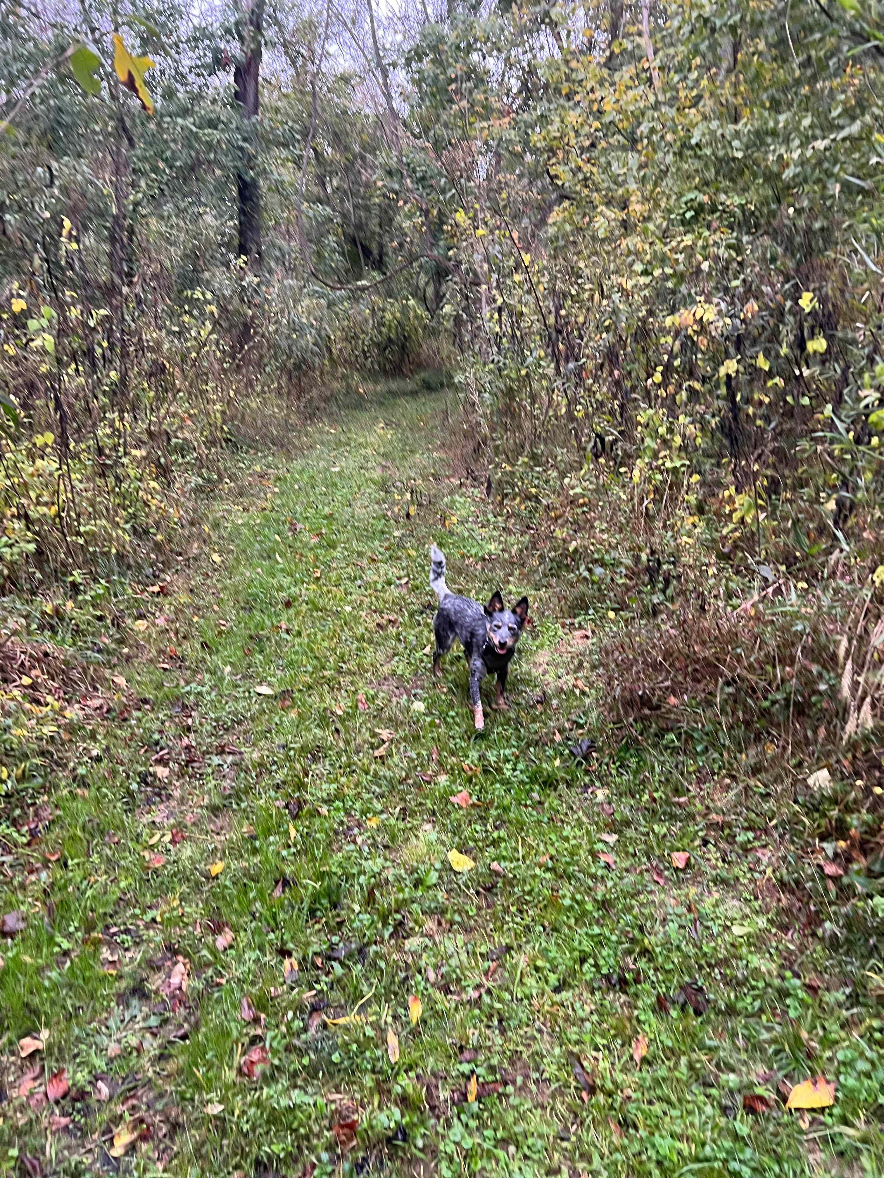Morning hike