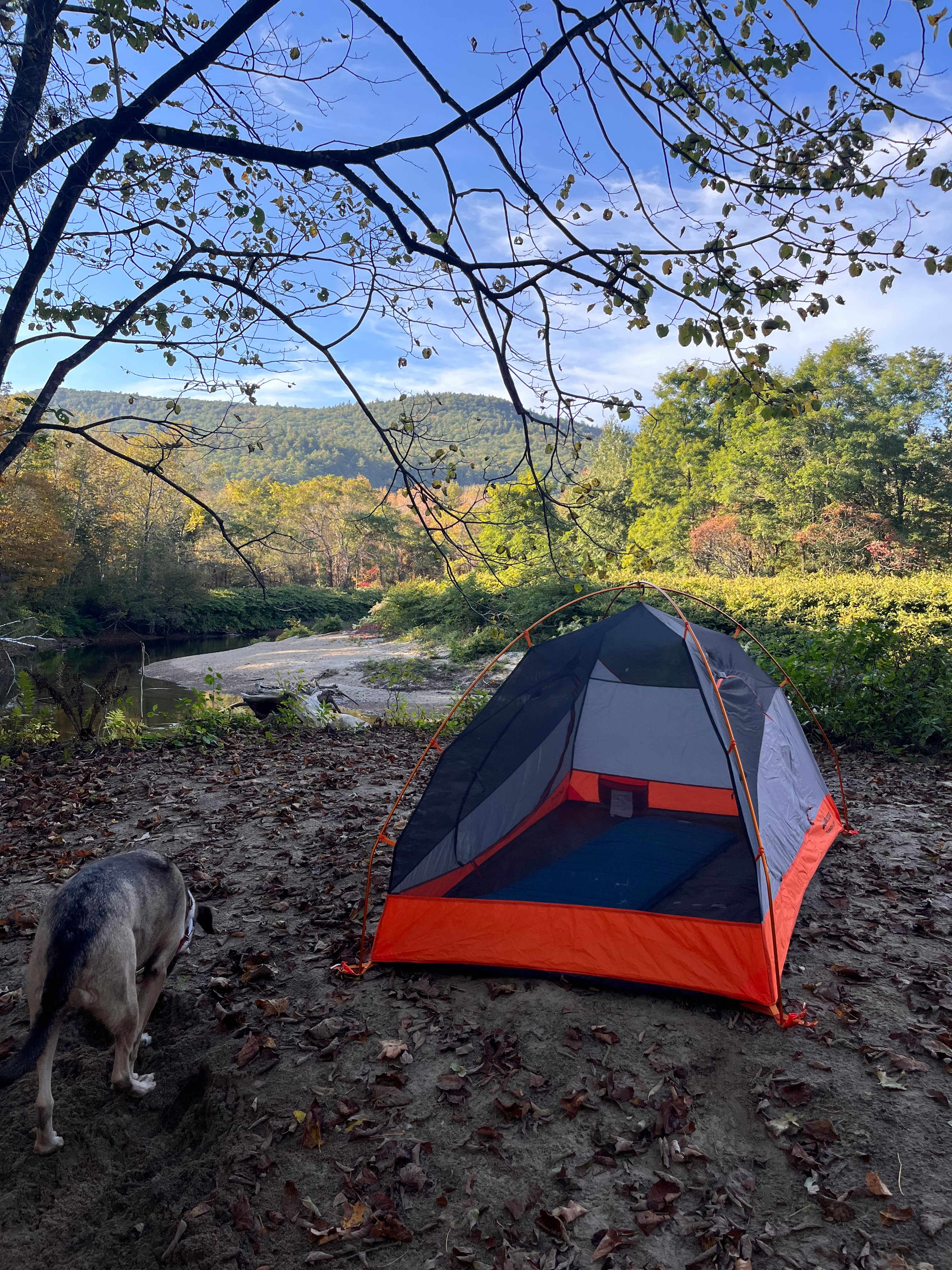 Beautiful camp site!