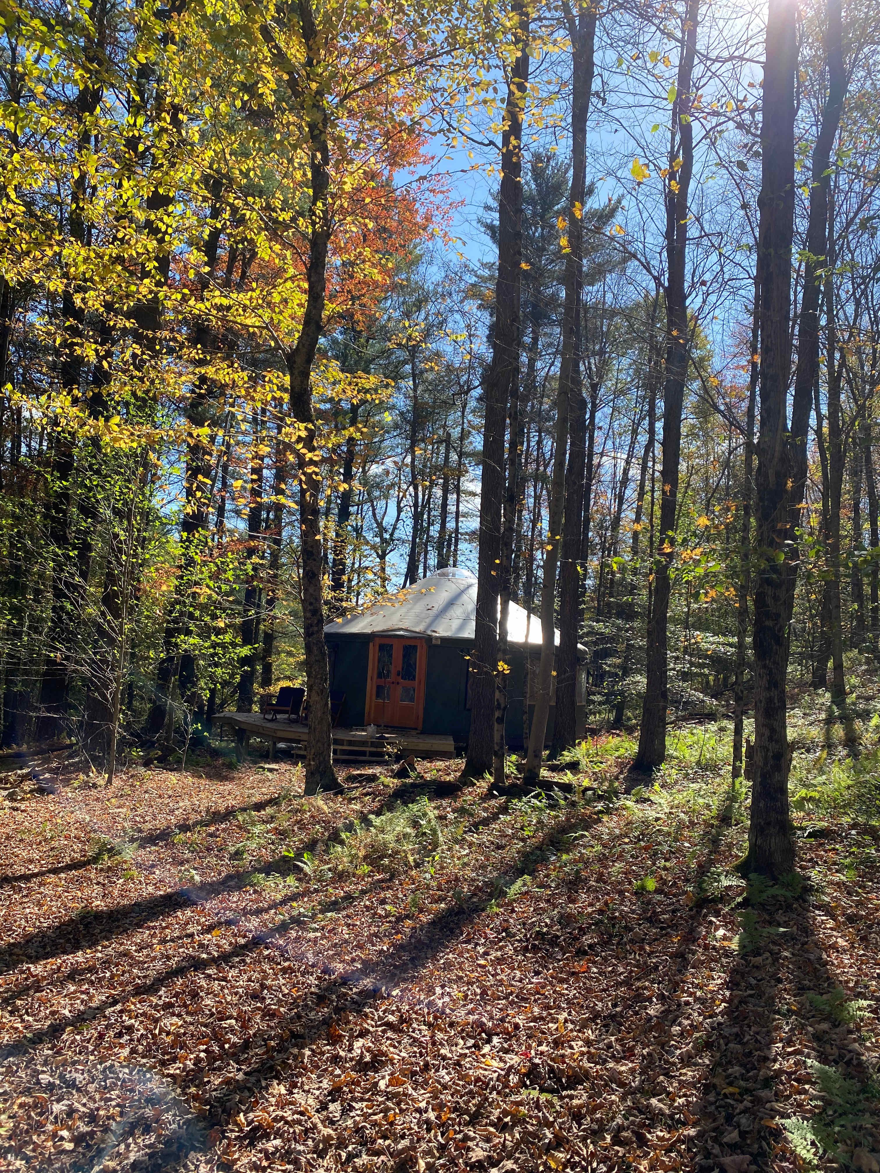 Glamping Yurt in Woods of Franklin
