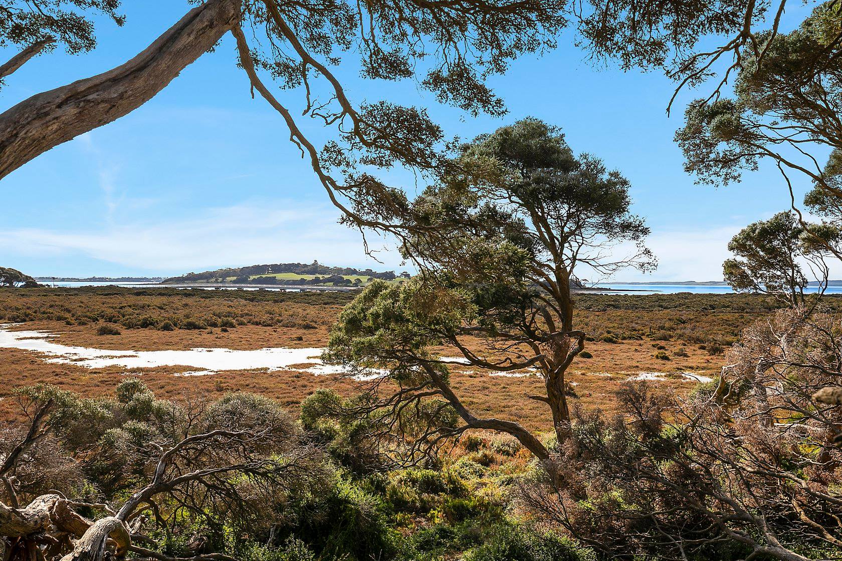 Churchill Island - Wetlands View