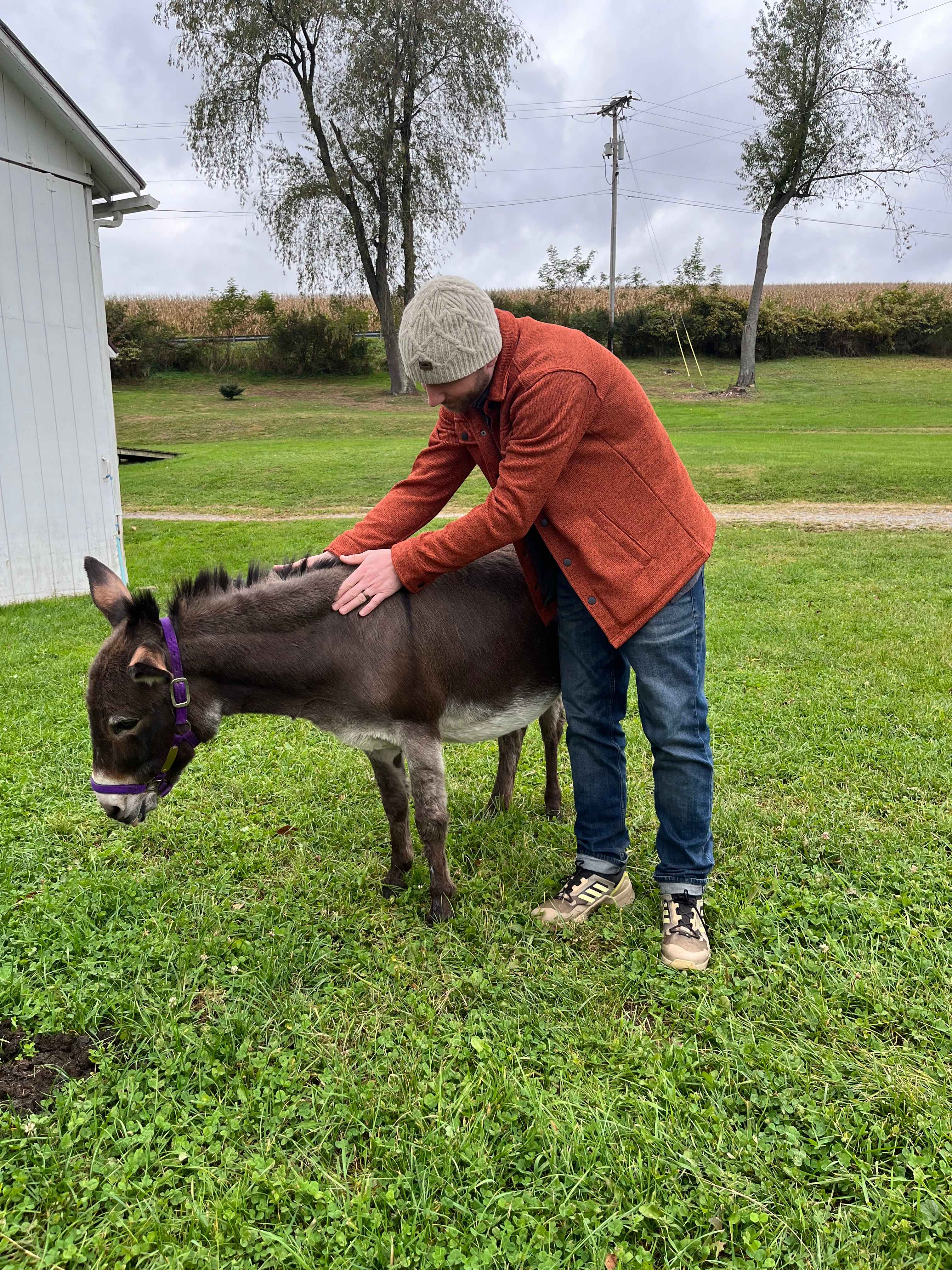The donkeys were in the pasture right outside our front door!