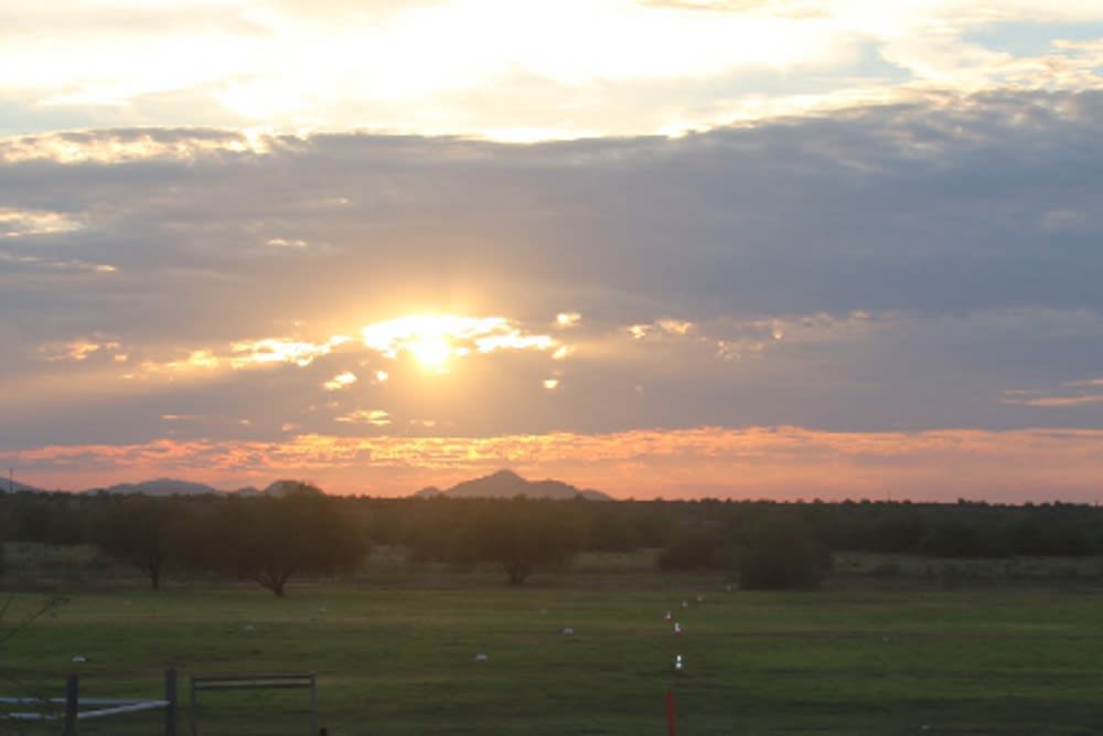 Gambel Field