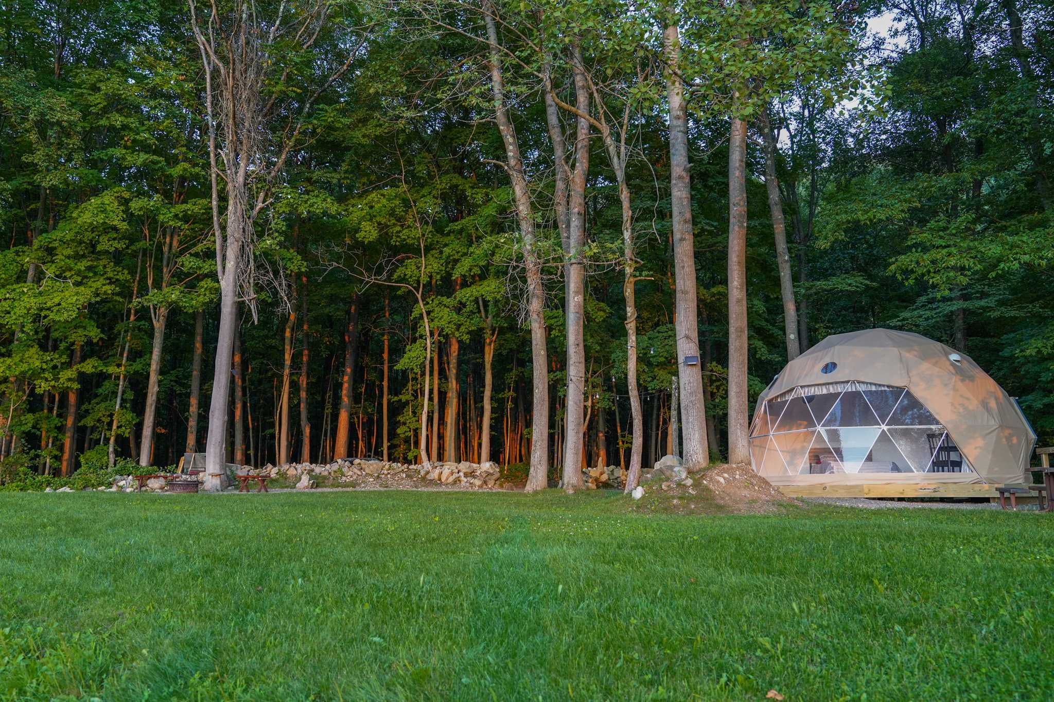 Picture of the site