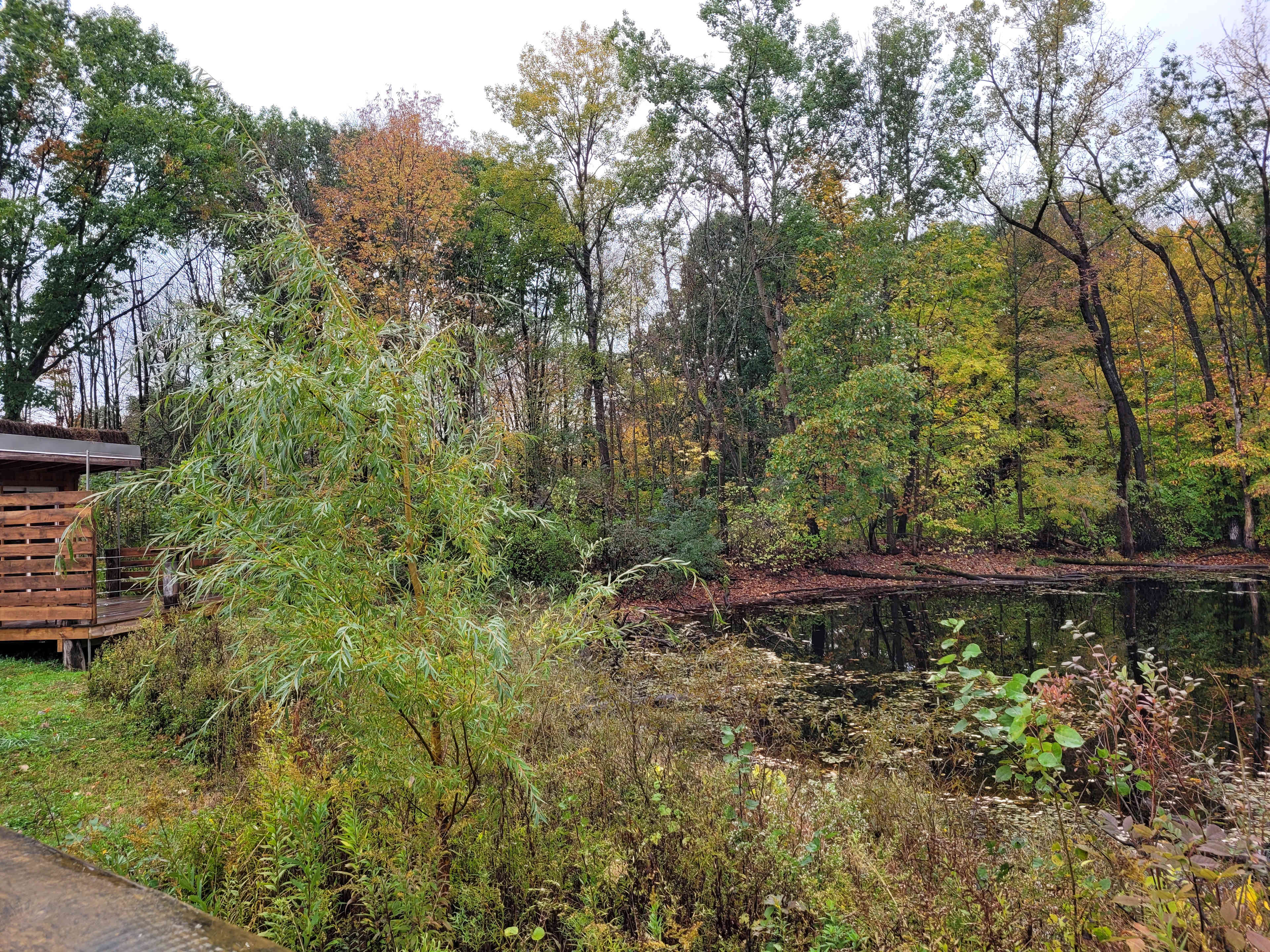 High Falls Farm