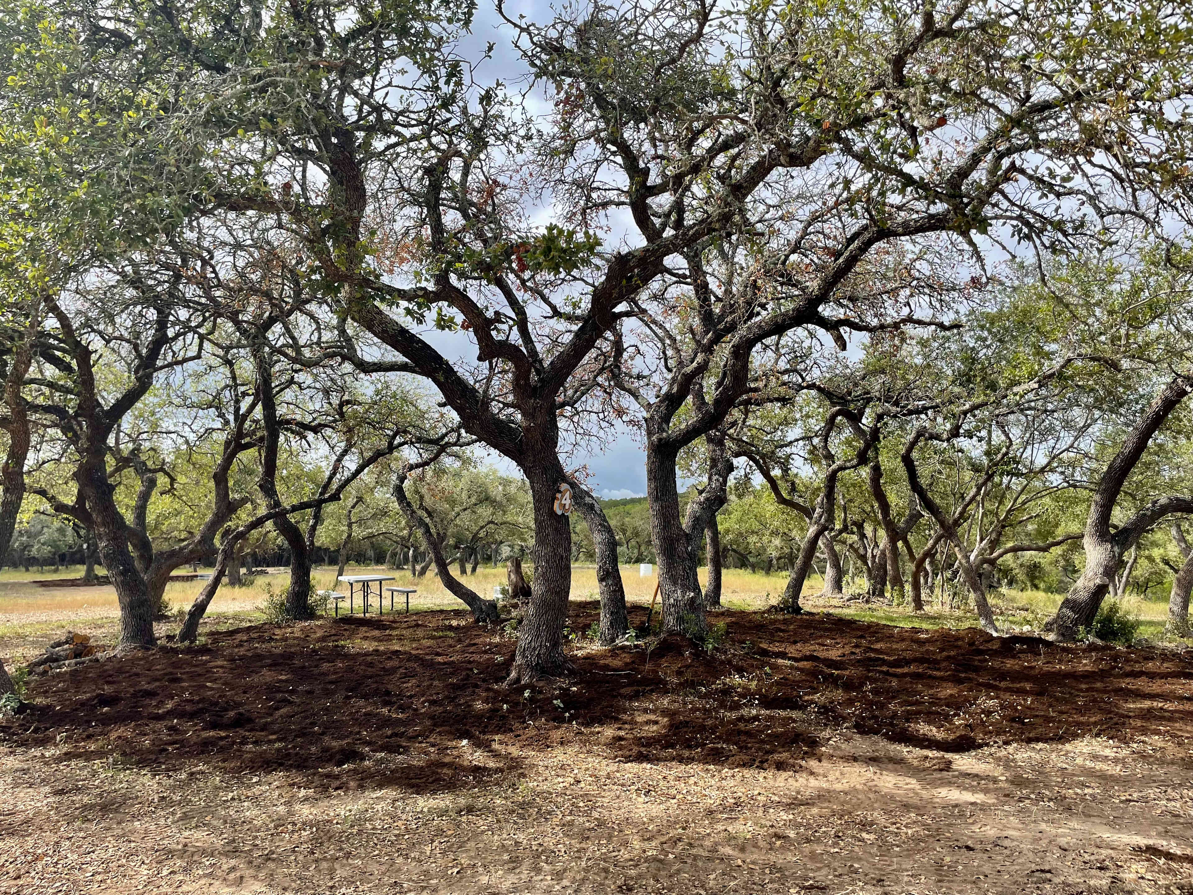 Longhorn Getaway Campgrounds