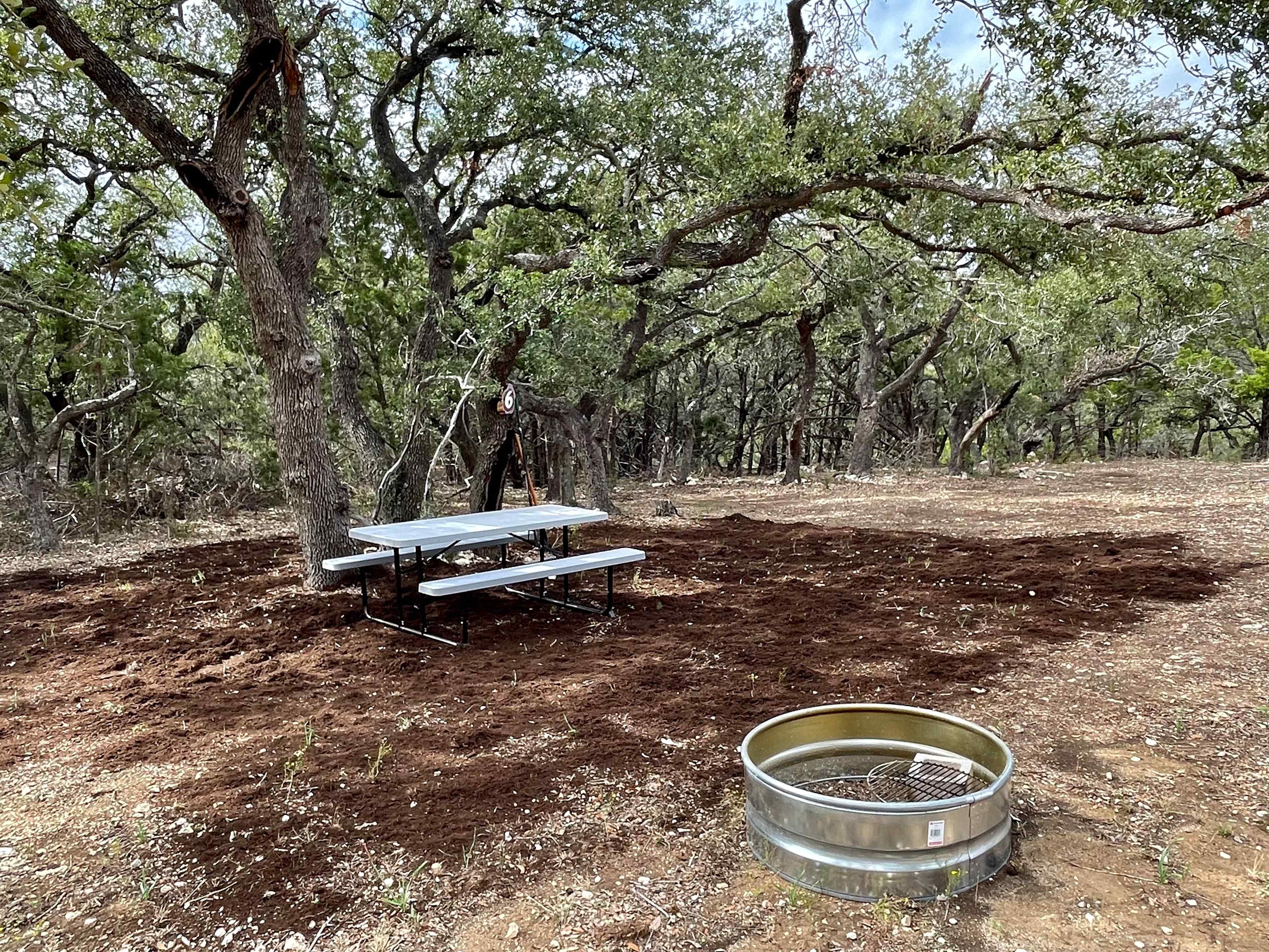 Picture of the site
