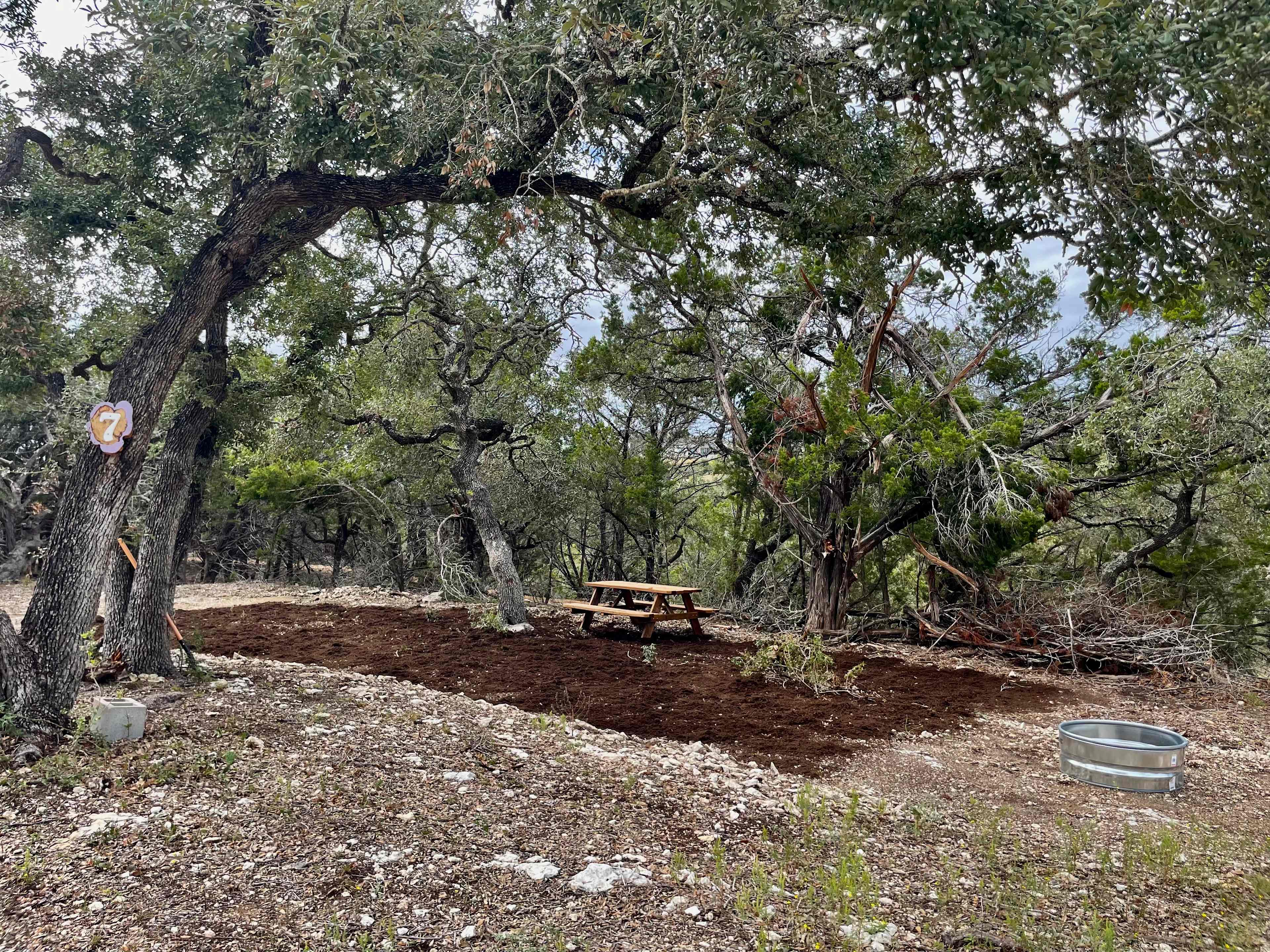 Picture of the site