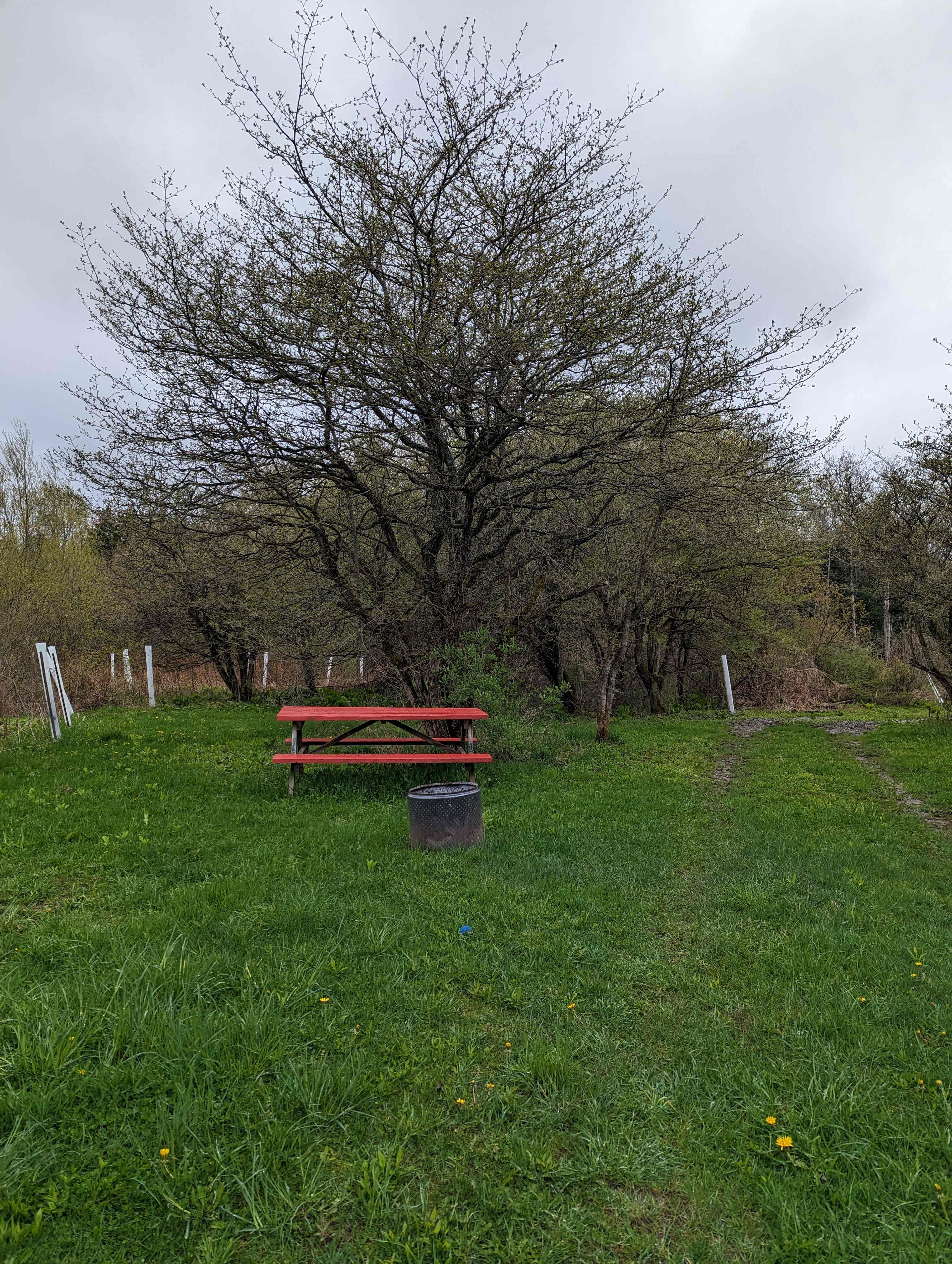Apple Cove Farm