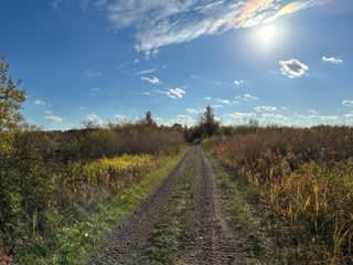 Rollheiser Family Farms