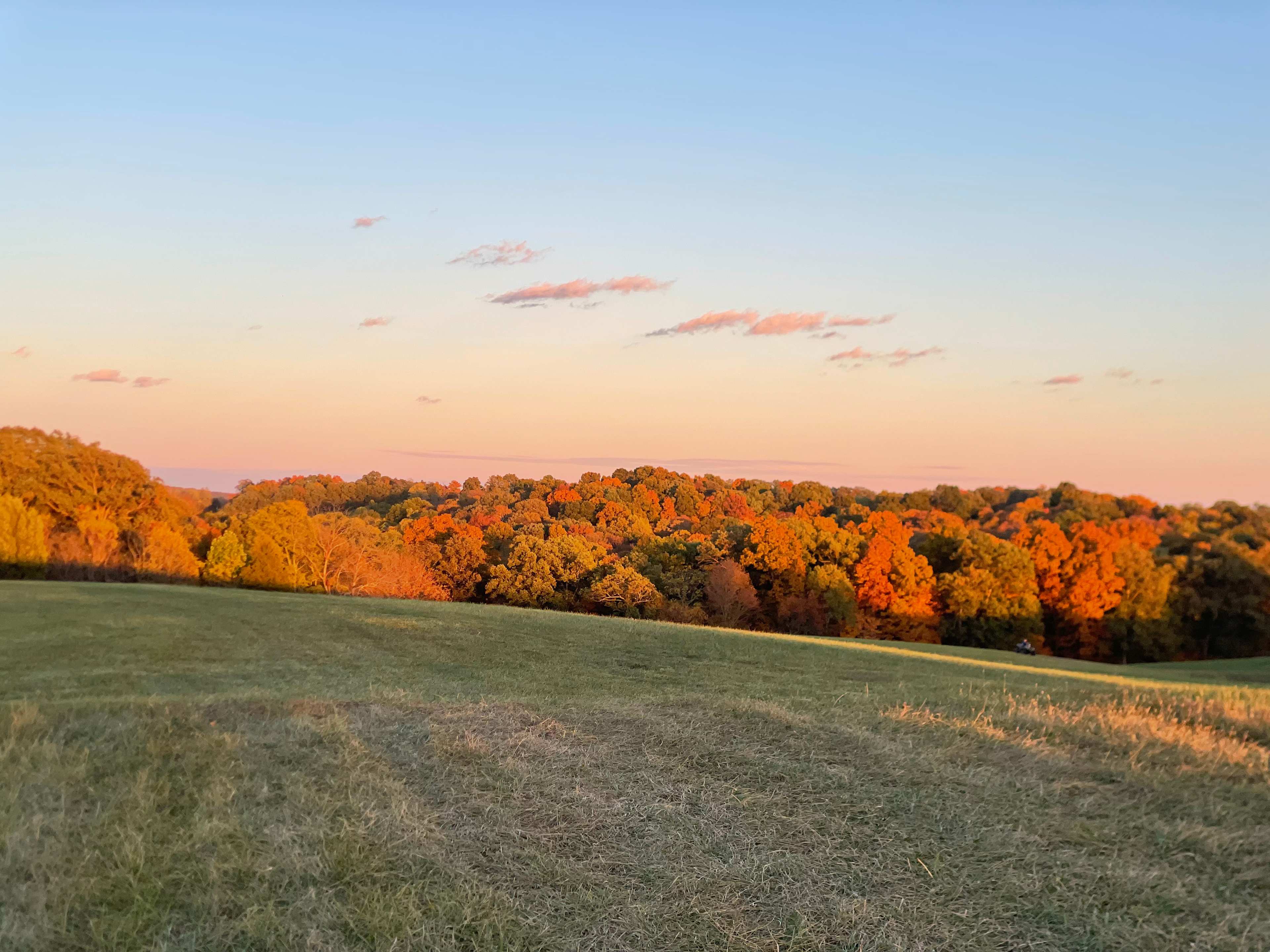 Hill Springs Campground