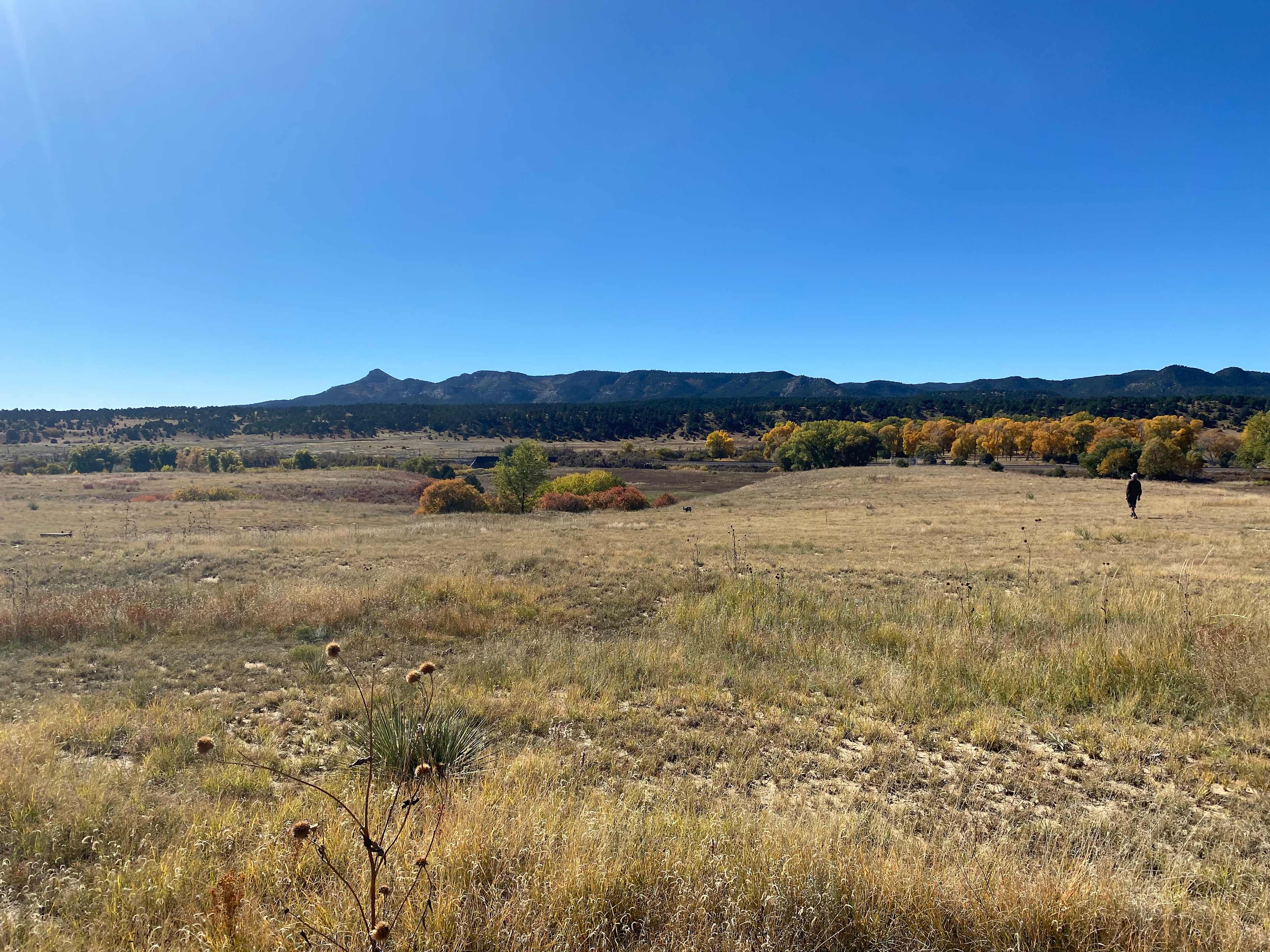 Wright Ranch