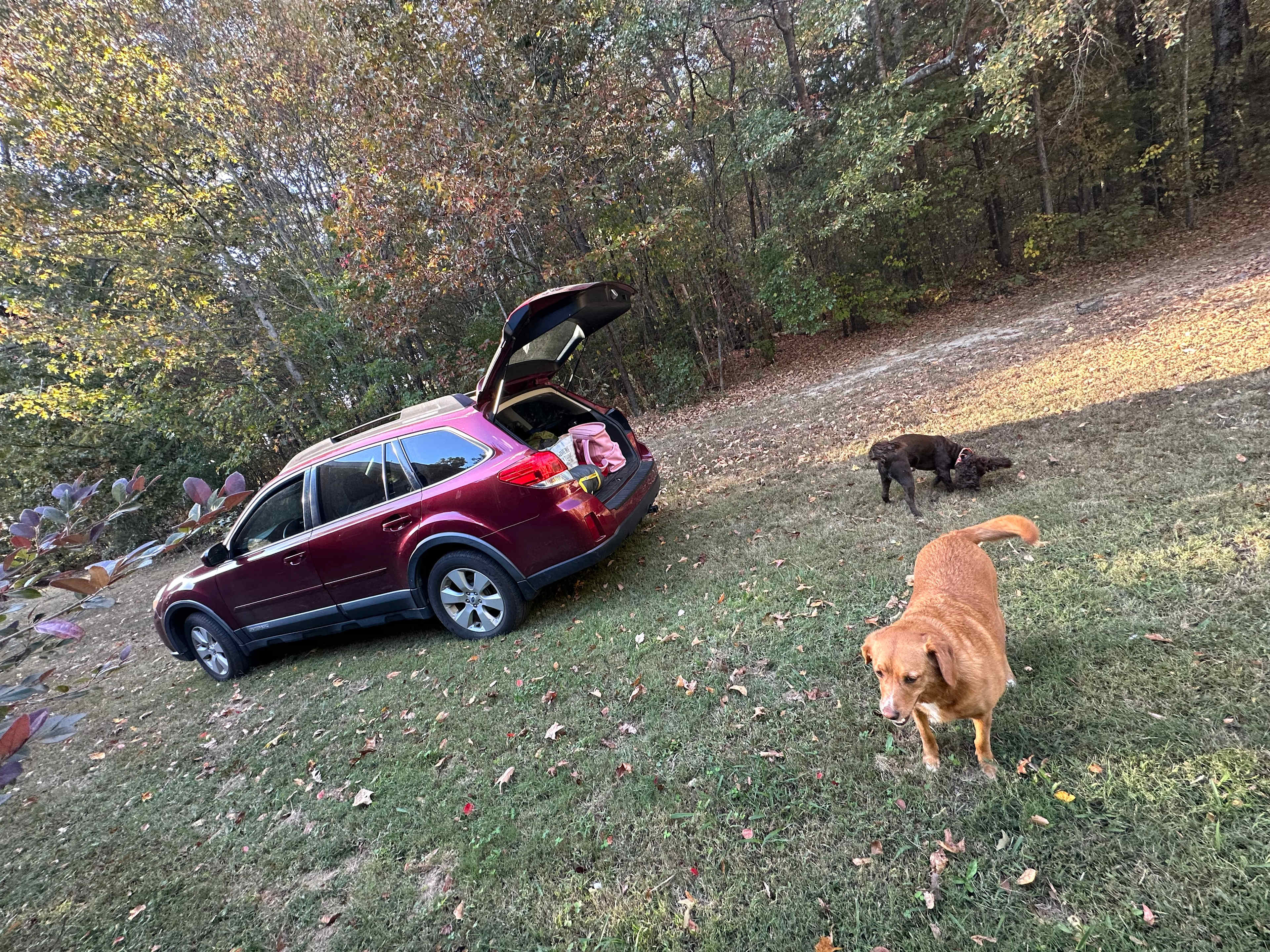 Our Little Farm Campsites