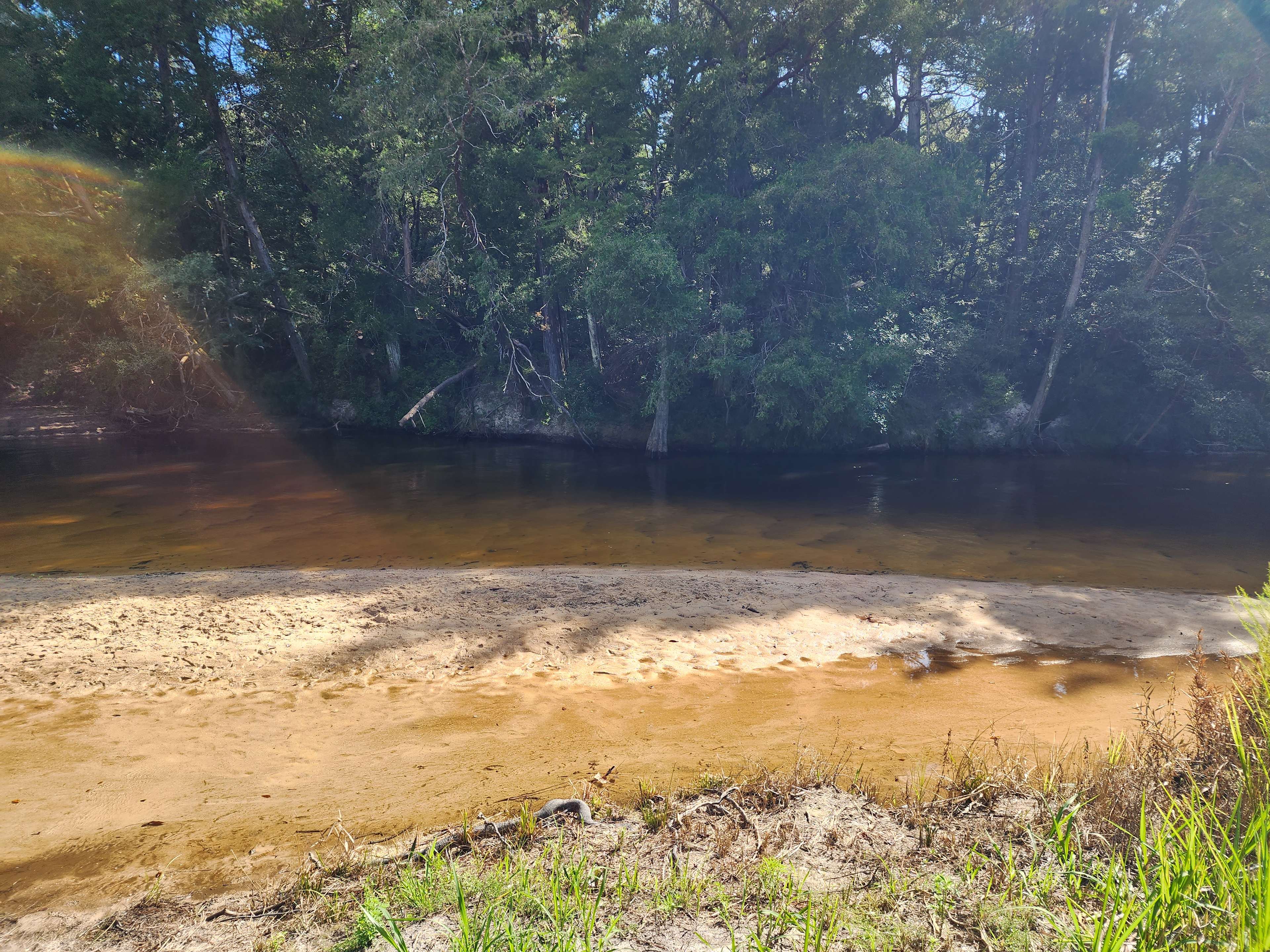 1 of many river views.