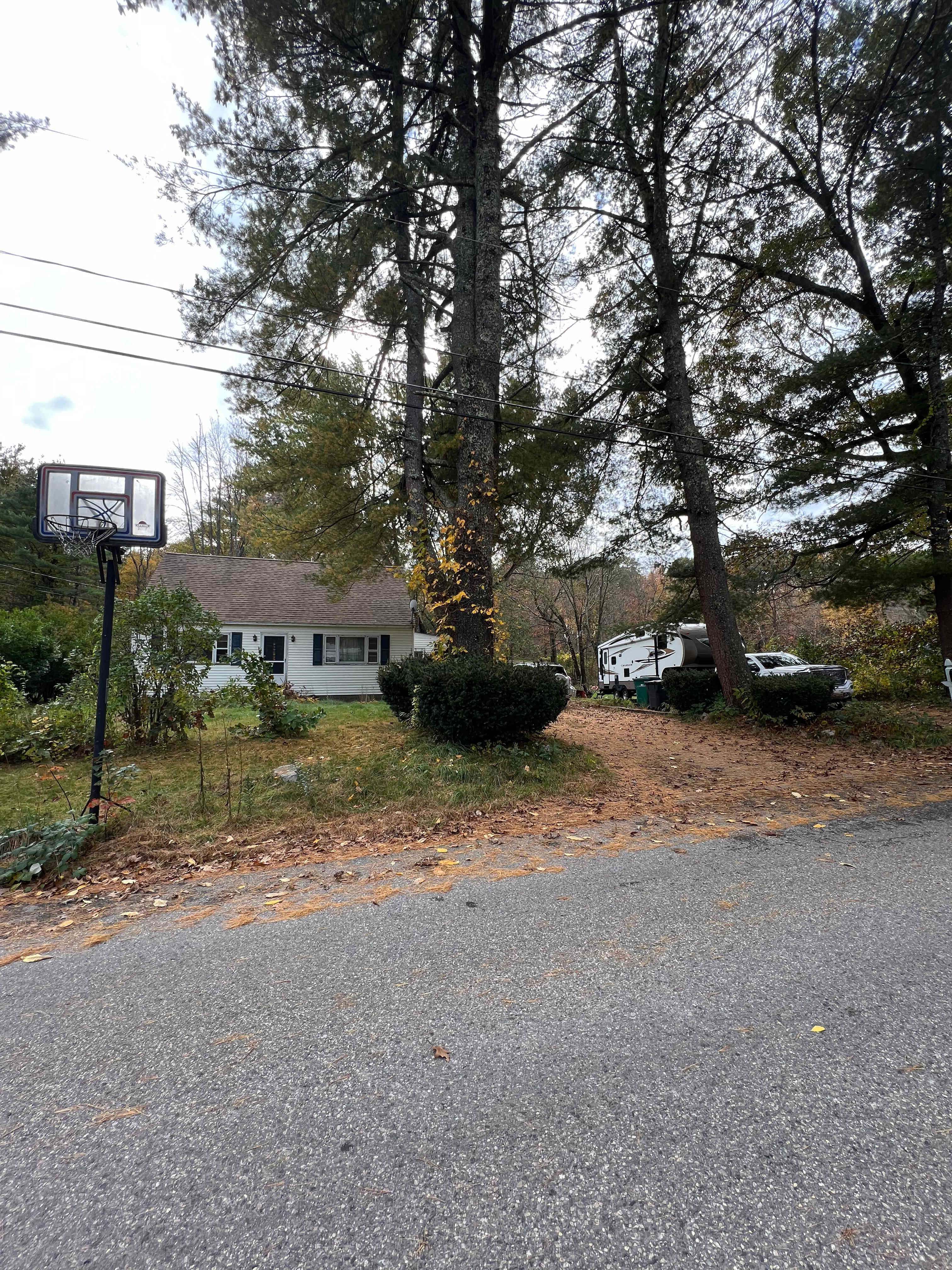 Quiet rural organic property