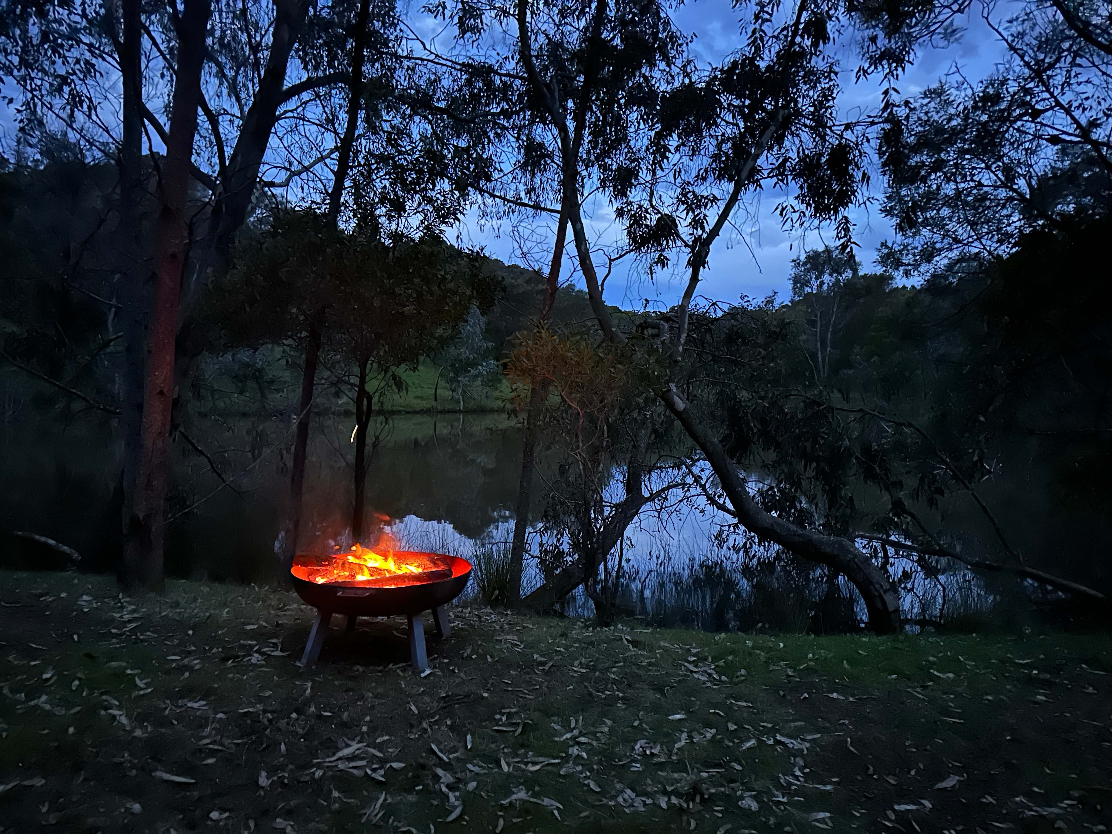 Reedy Creek Camping