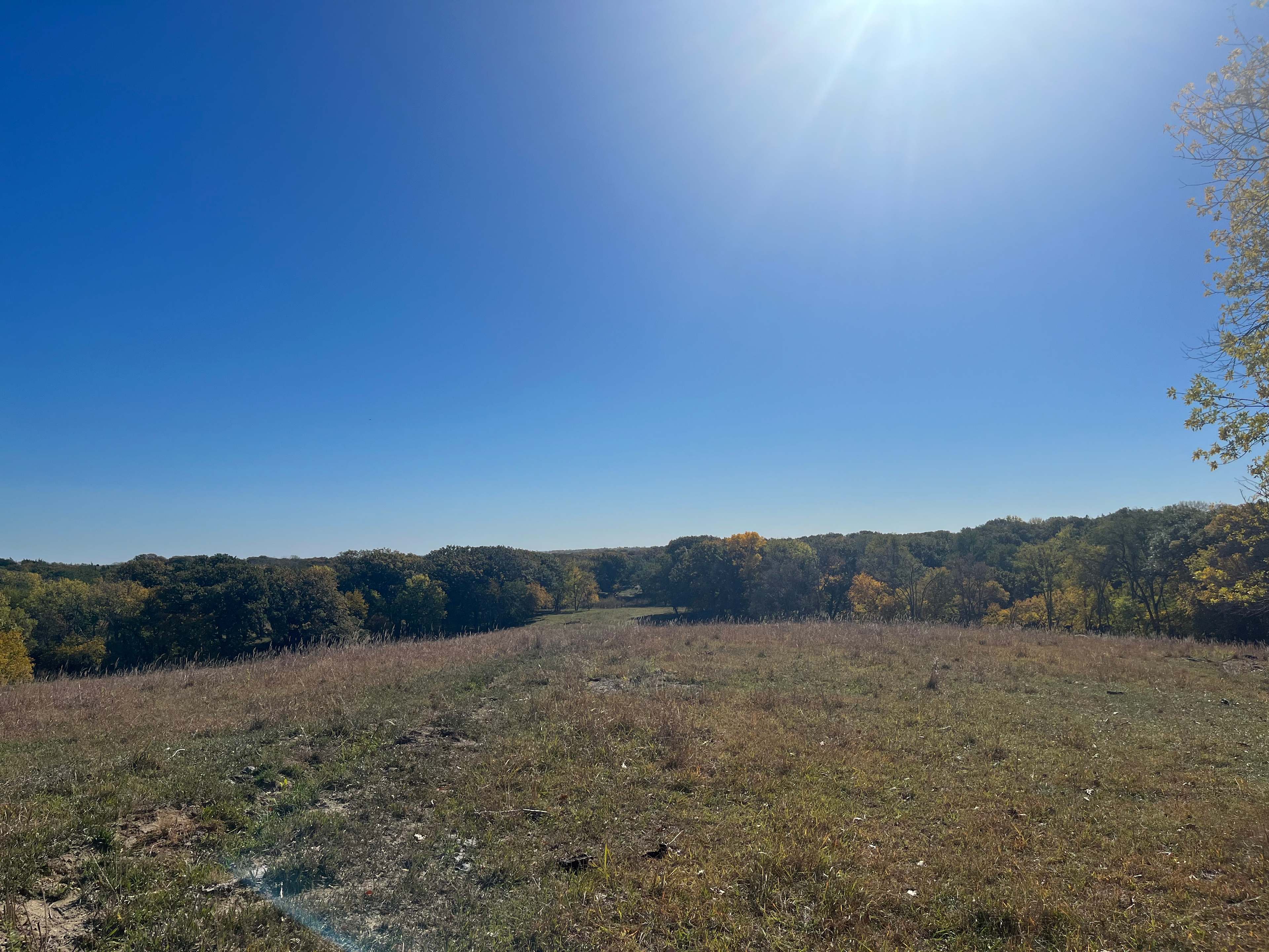 Magill Farms