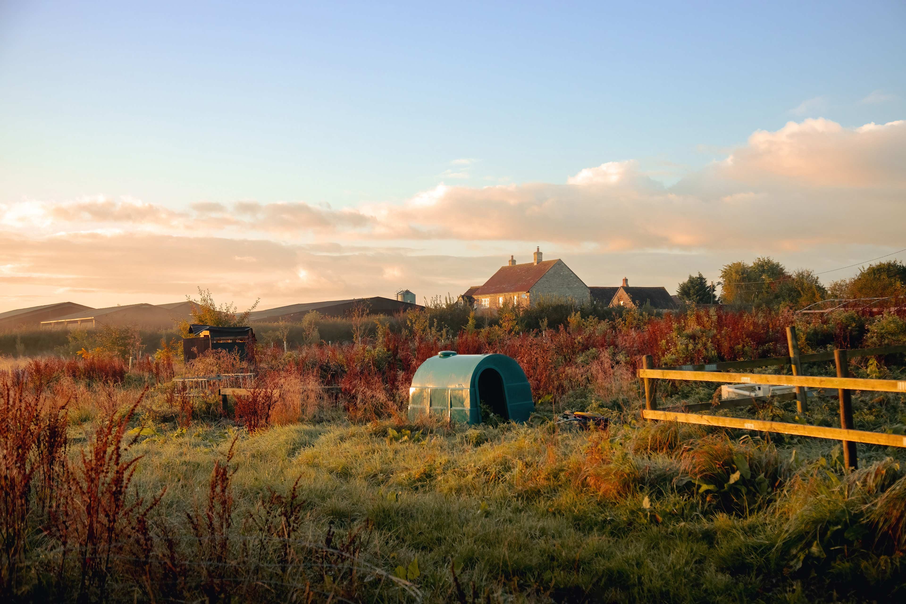 Feltham’s Farm Cheese Barn