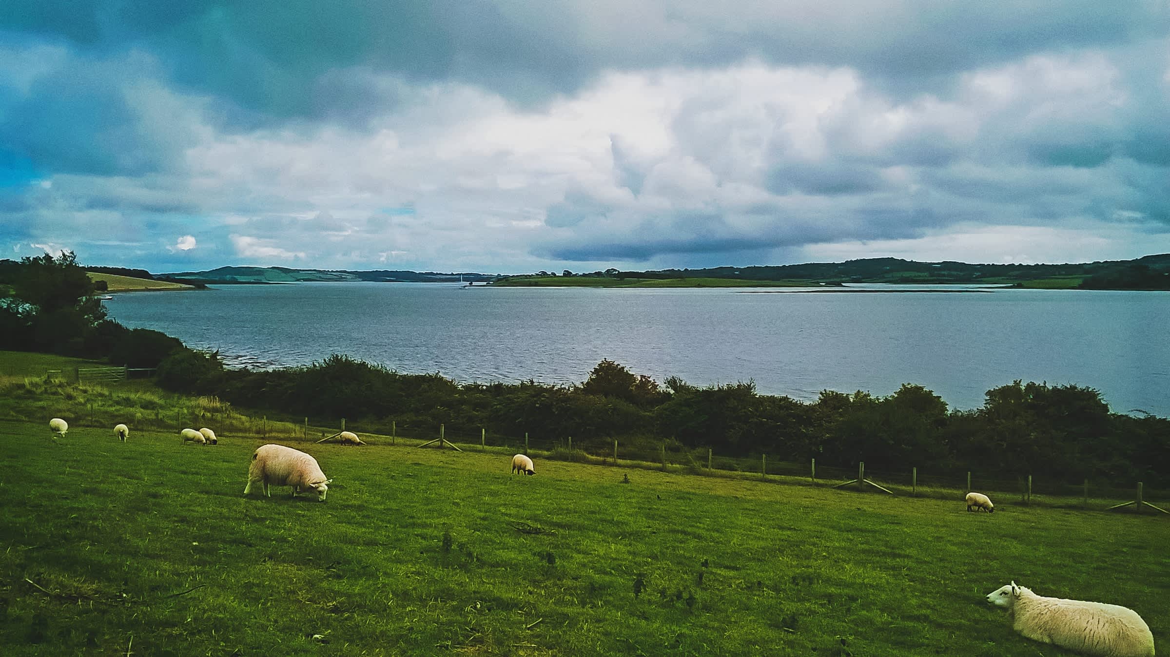 Strangford Lough