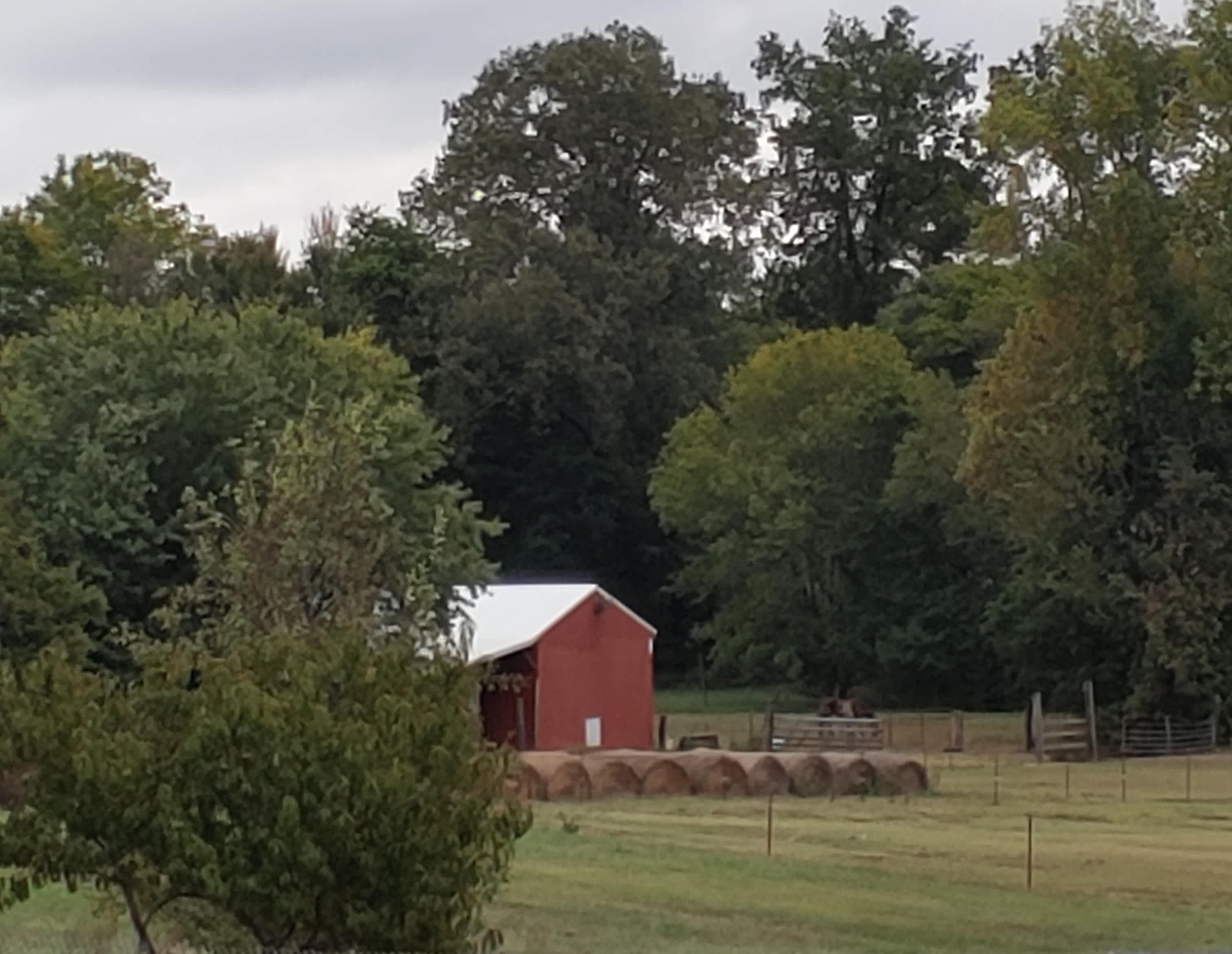 Skyhawk Junction RV Park