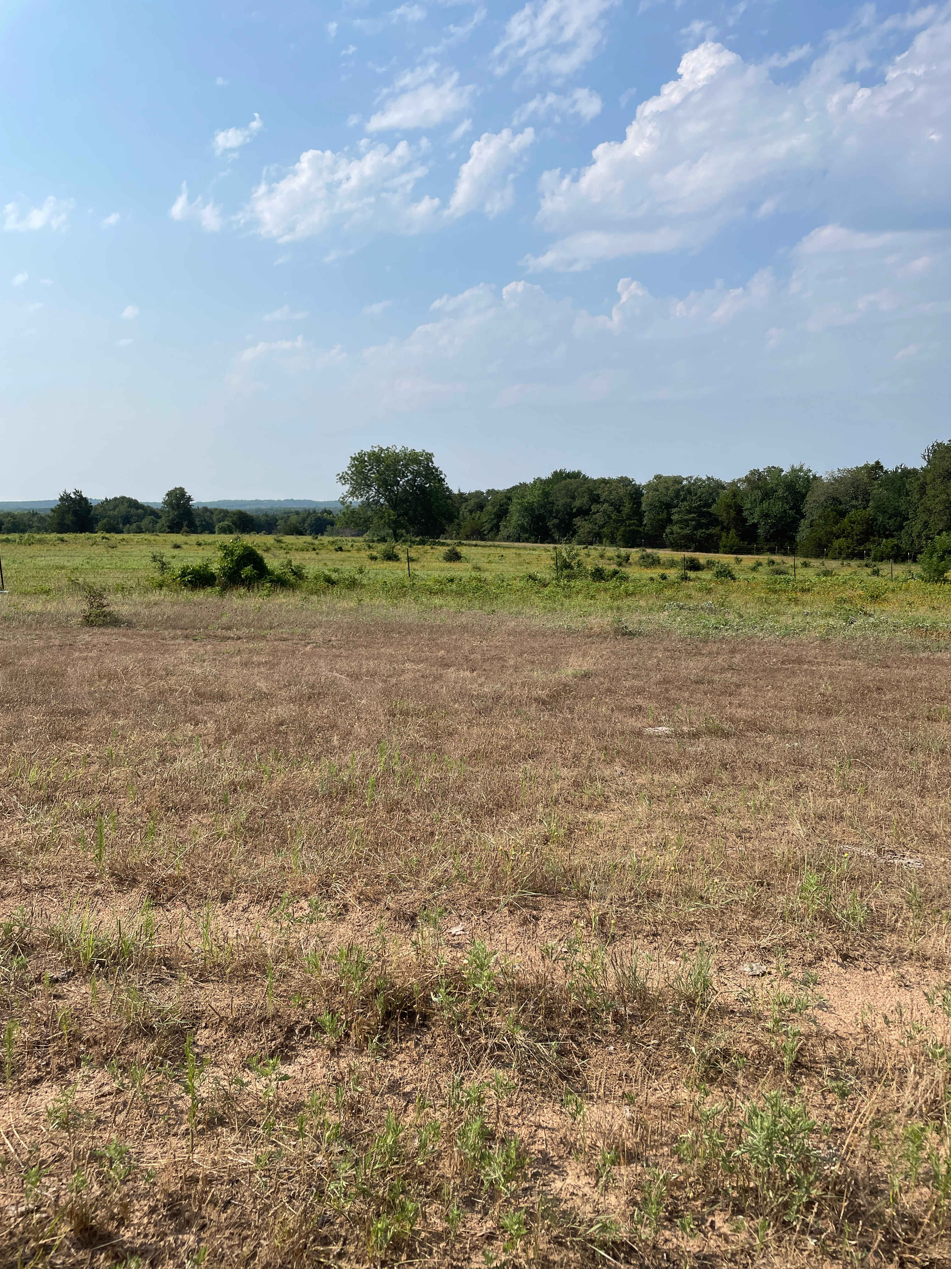 Andrea’s Grasslands Getaway
