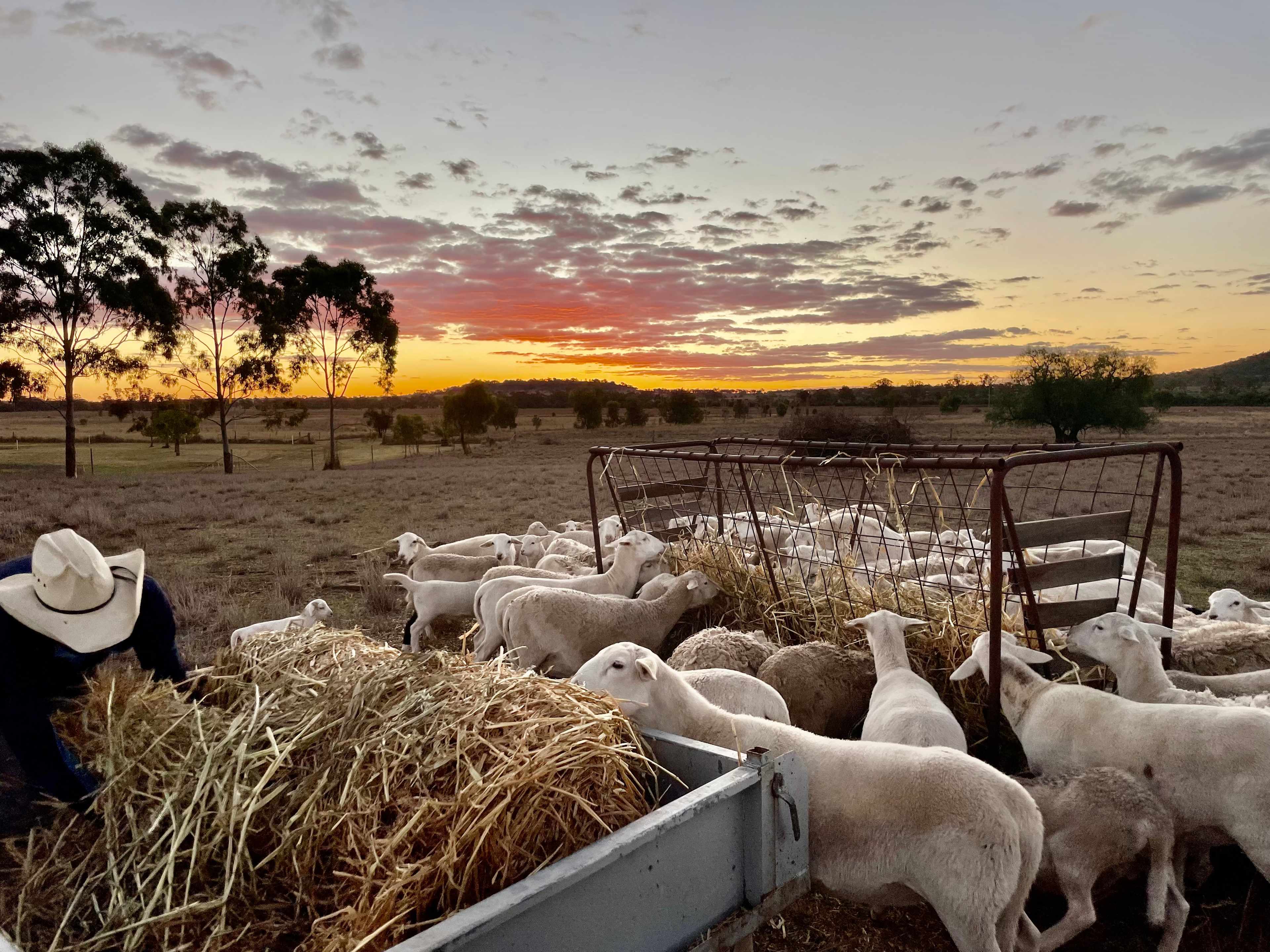 Waverley Historical Homestead