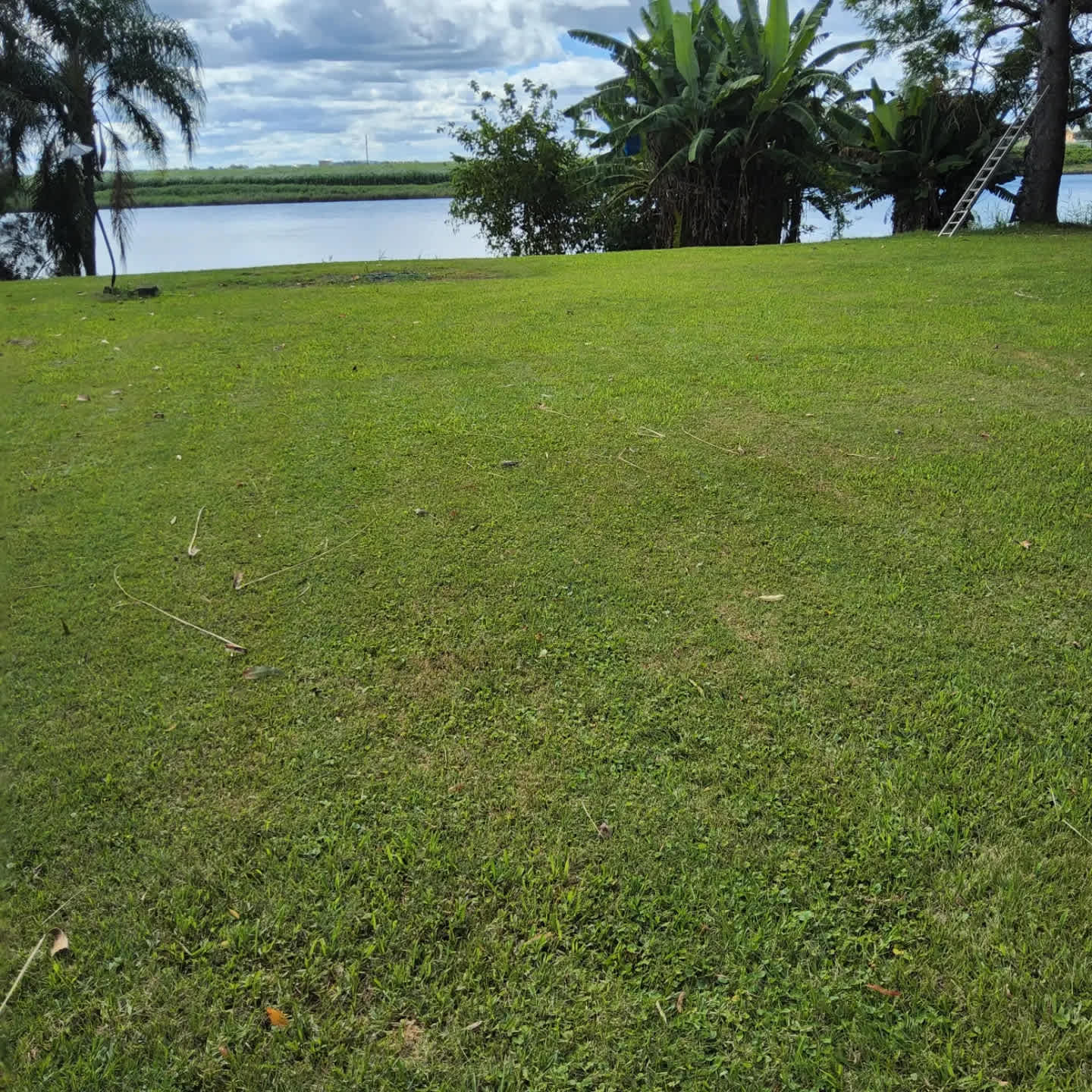 River terrace camping Cowper 2460