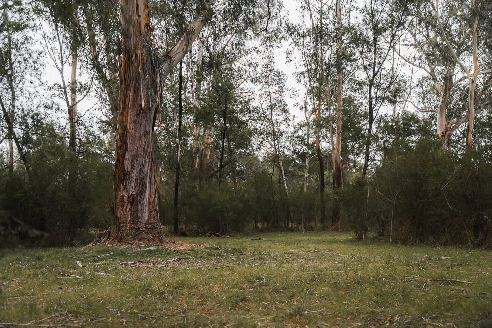 Site 4