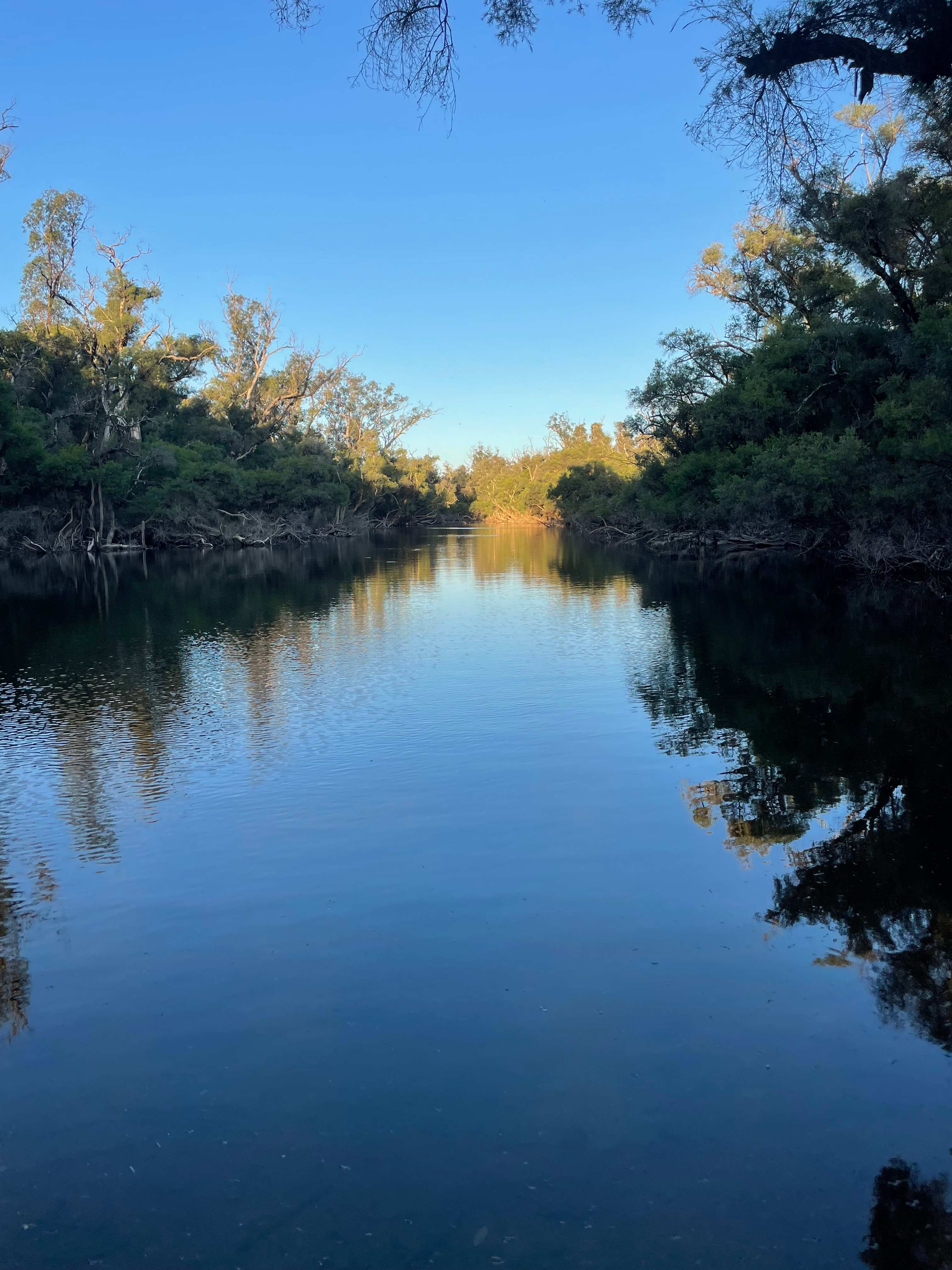 Murray Valley Camping