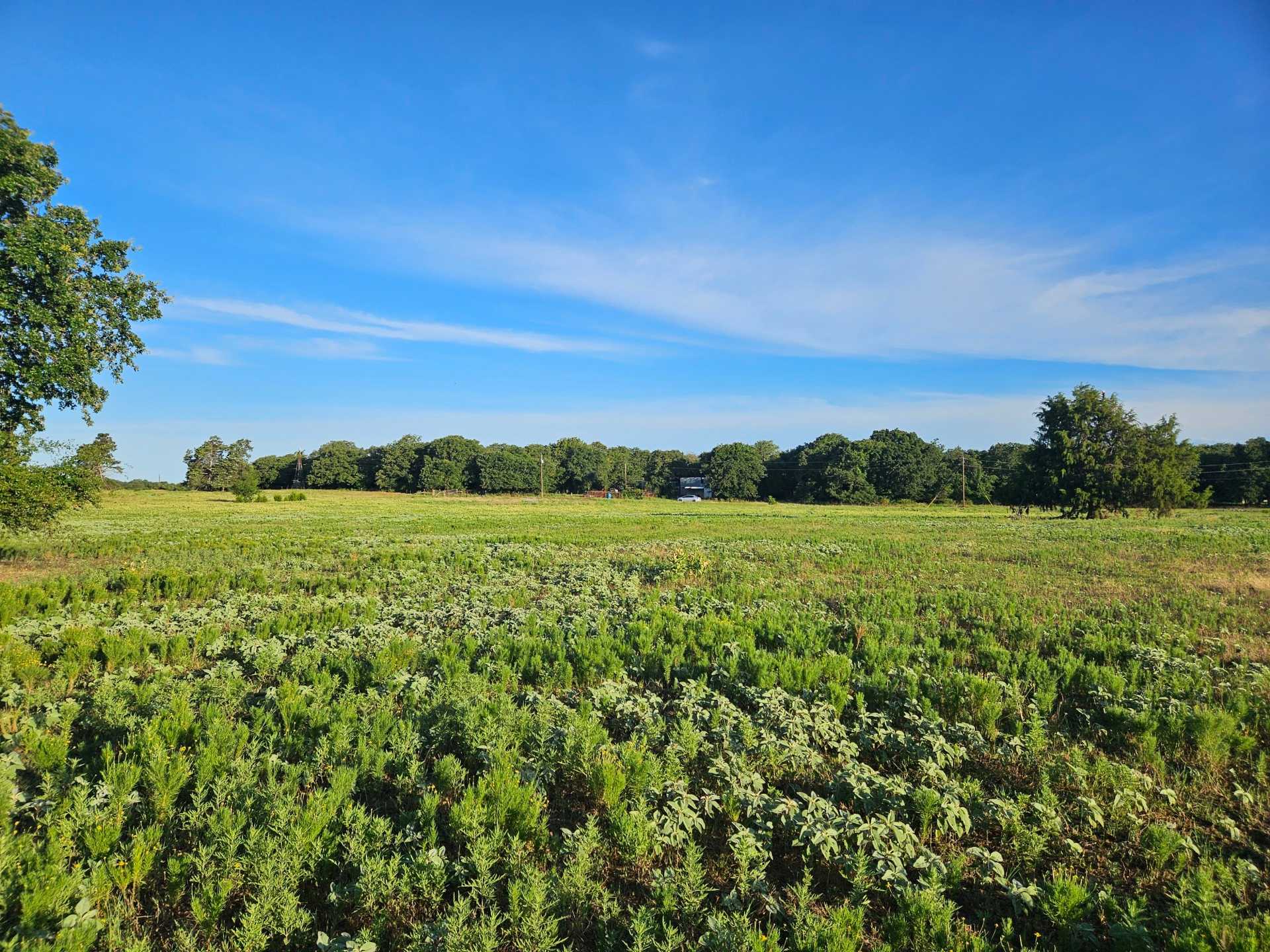 Andrea’s Grasslands Getaway
