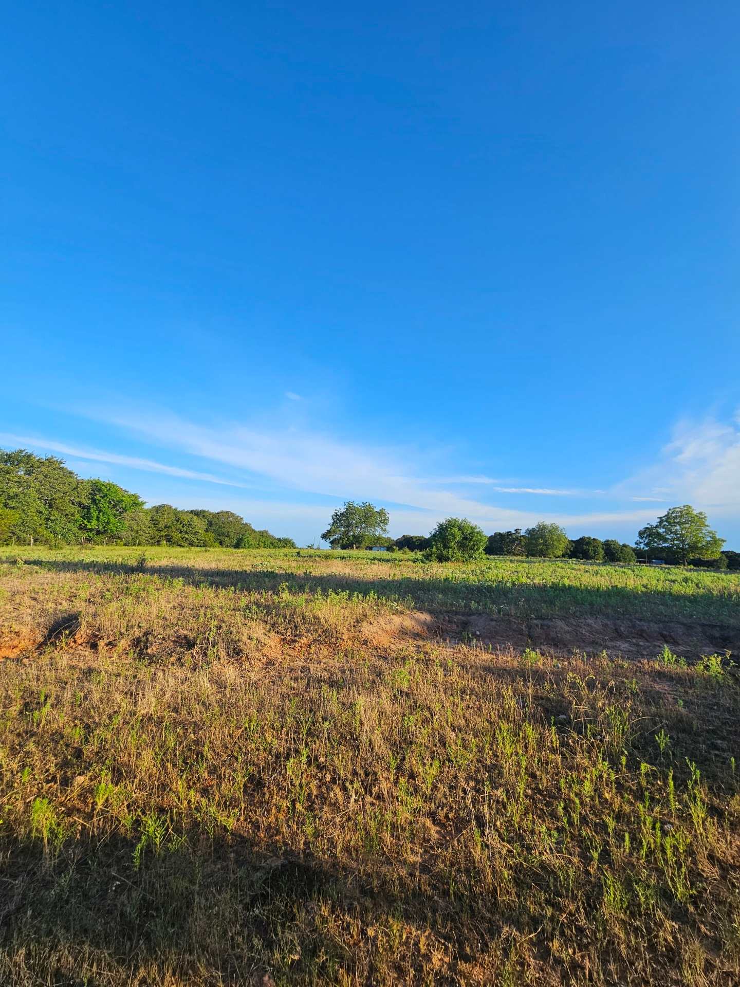 Andrea’s Grasslands Getaway