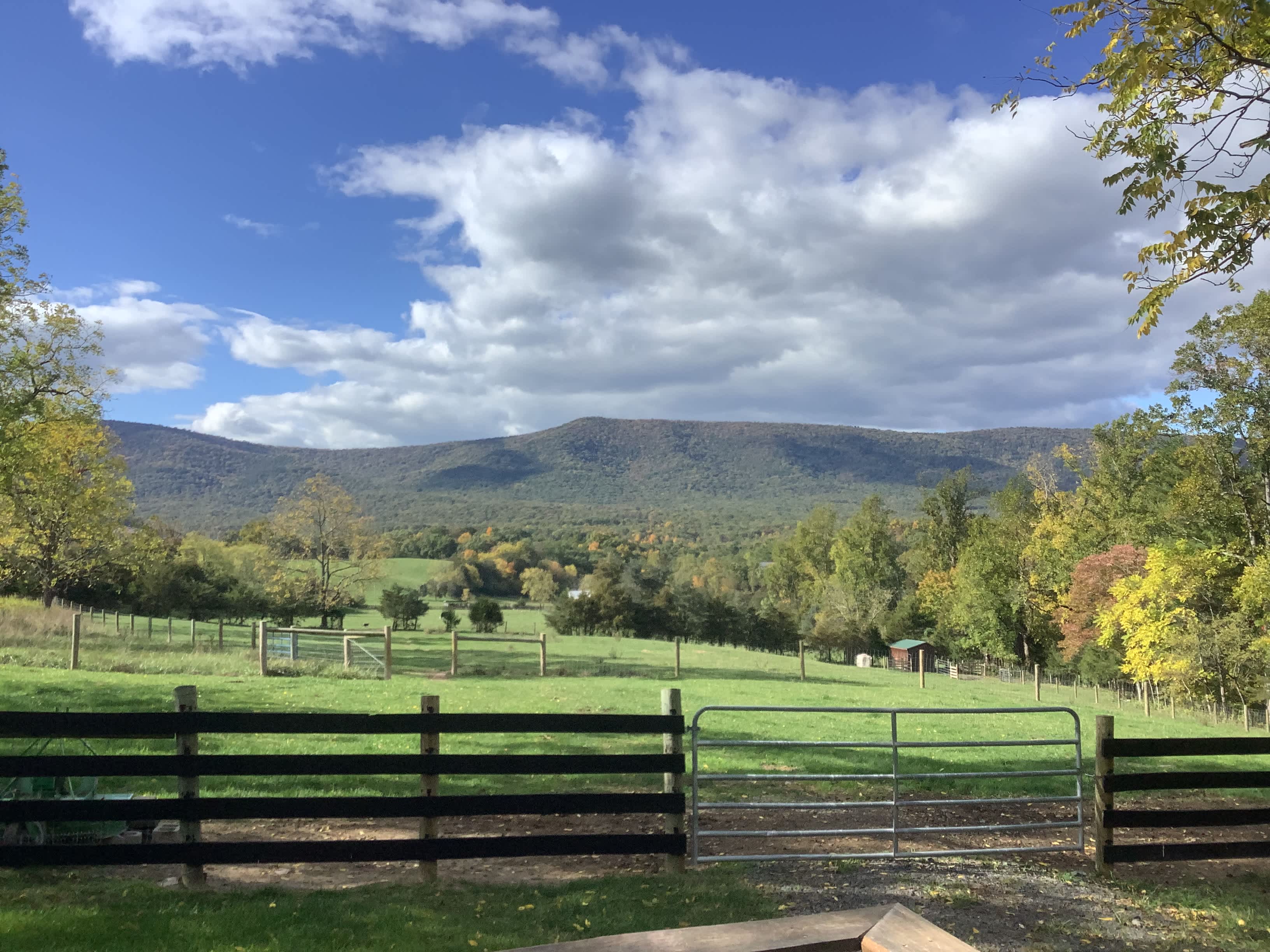 Fairy Glen Farm