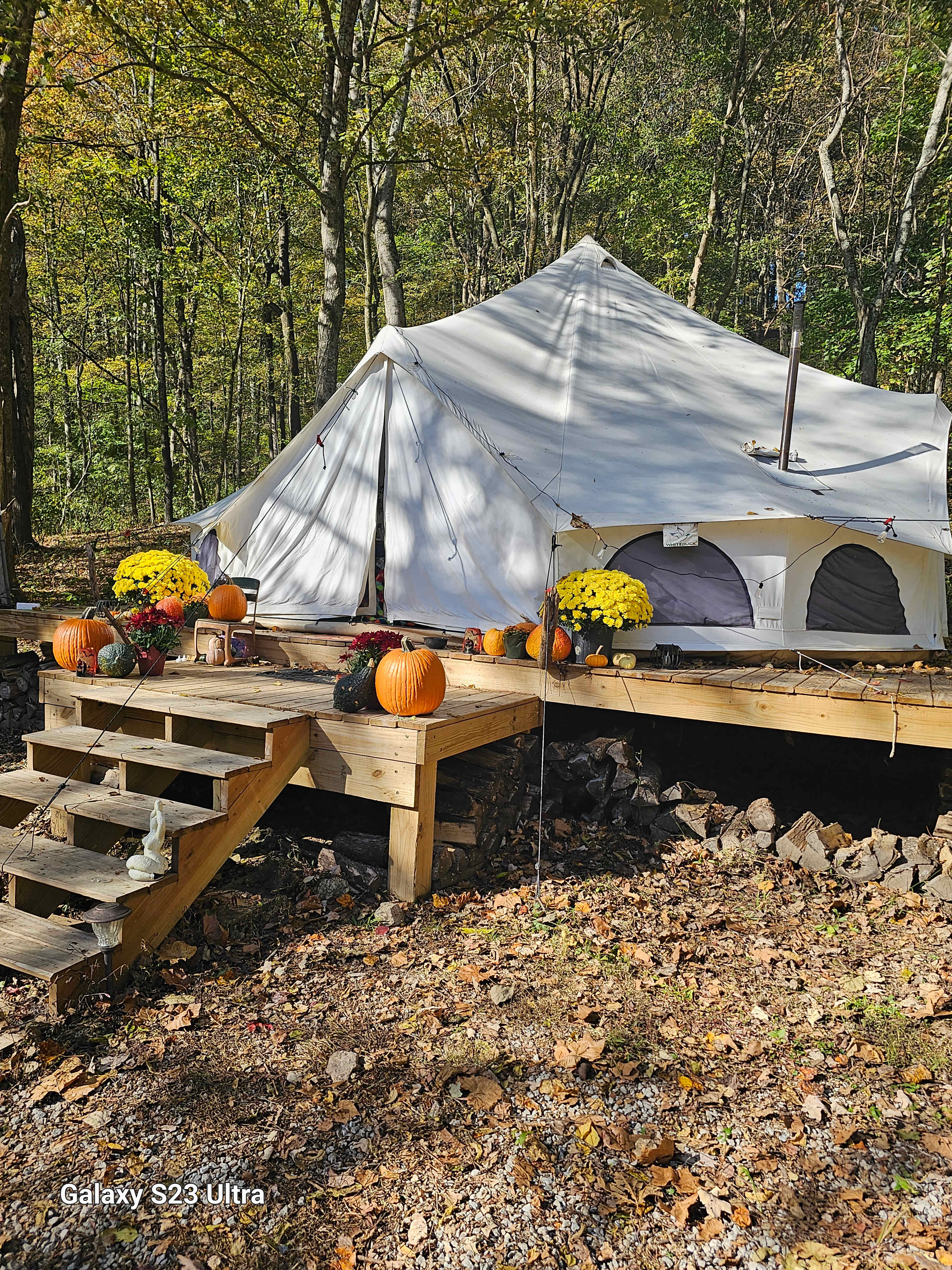 Secluded Cabin on Horse Farm