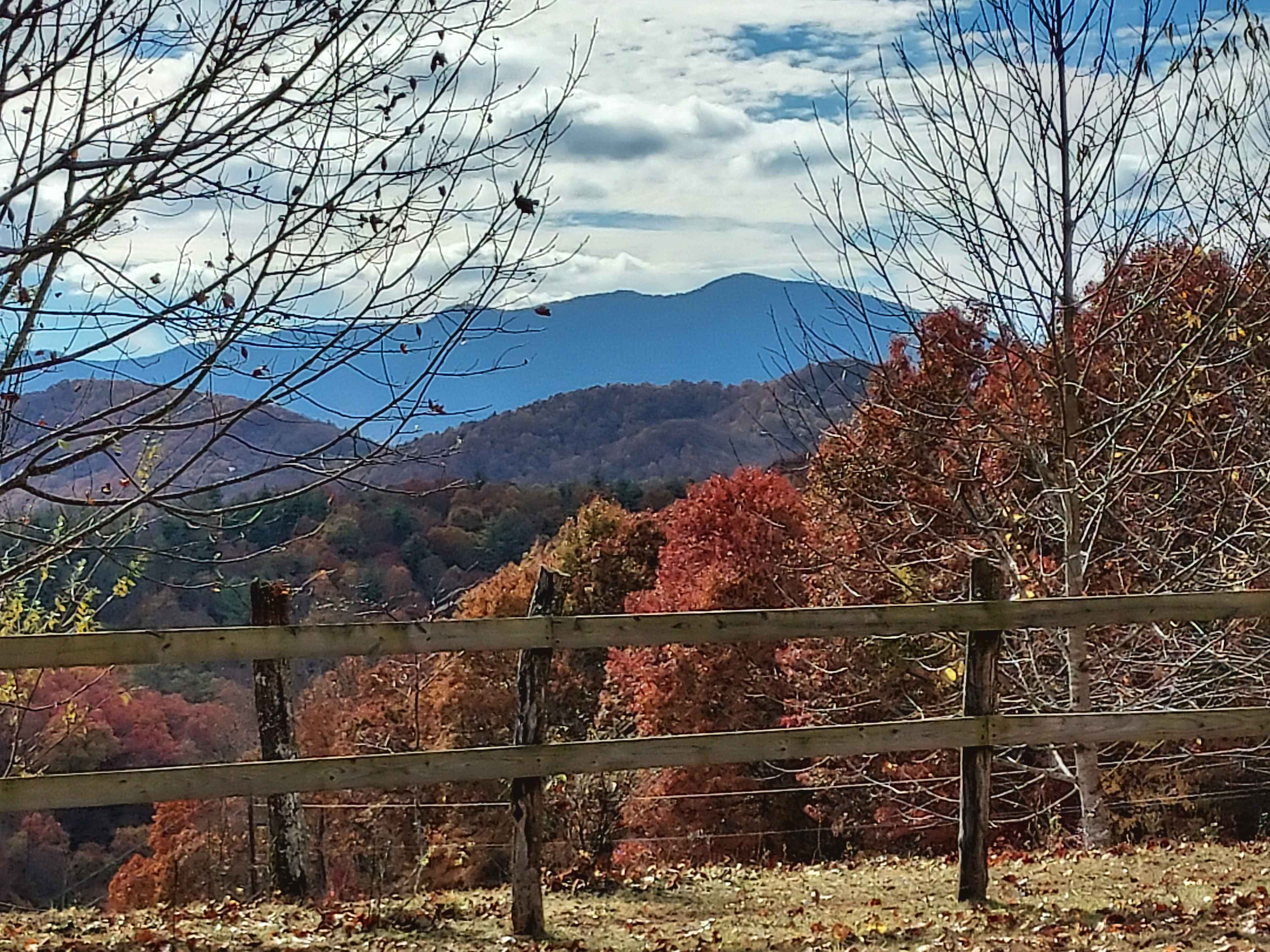 Blue Ridge Horse Adventures