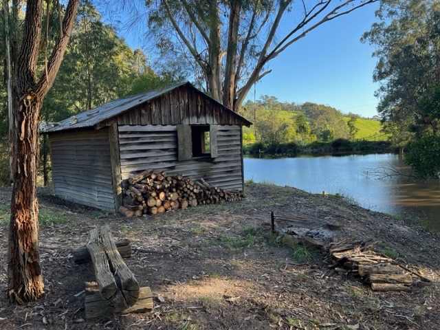 Whispering Gums