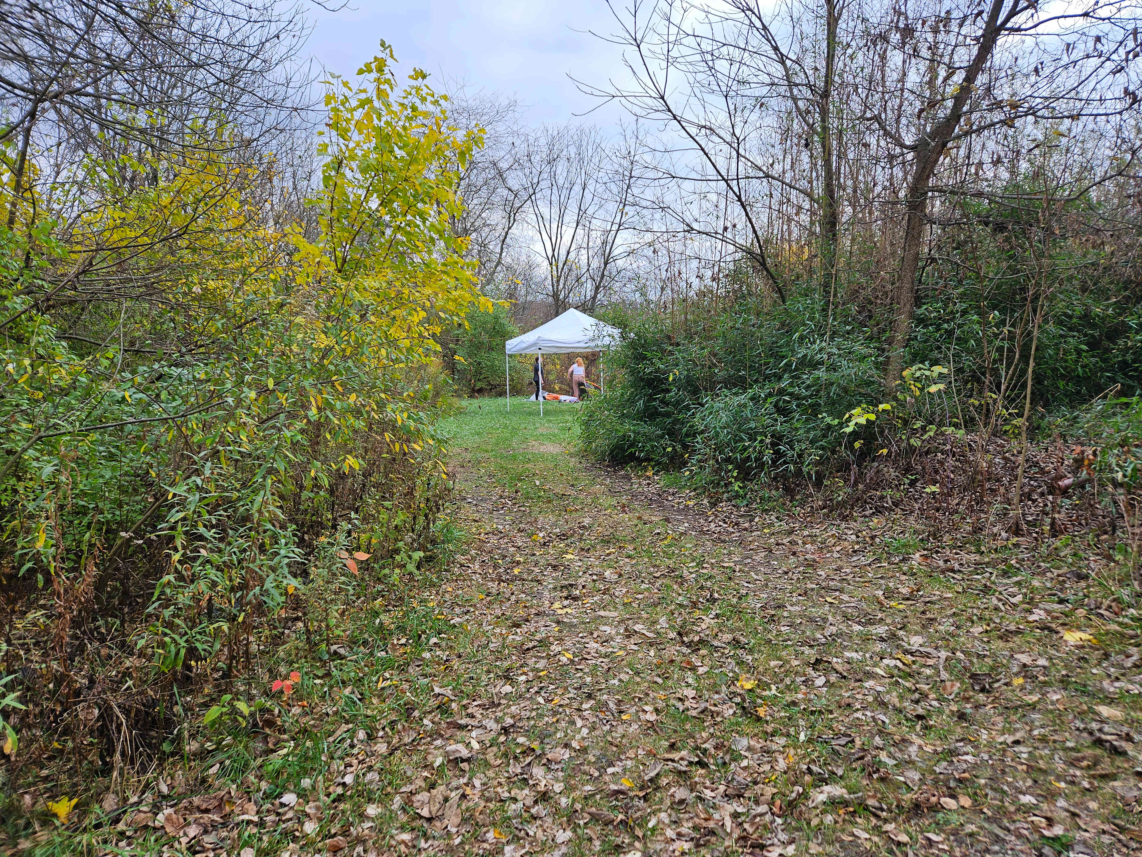 Picture of the site