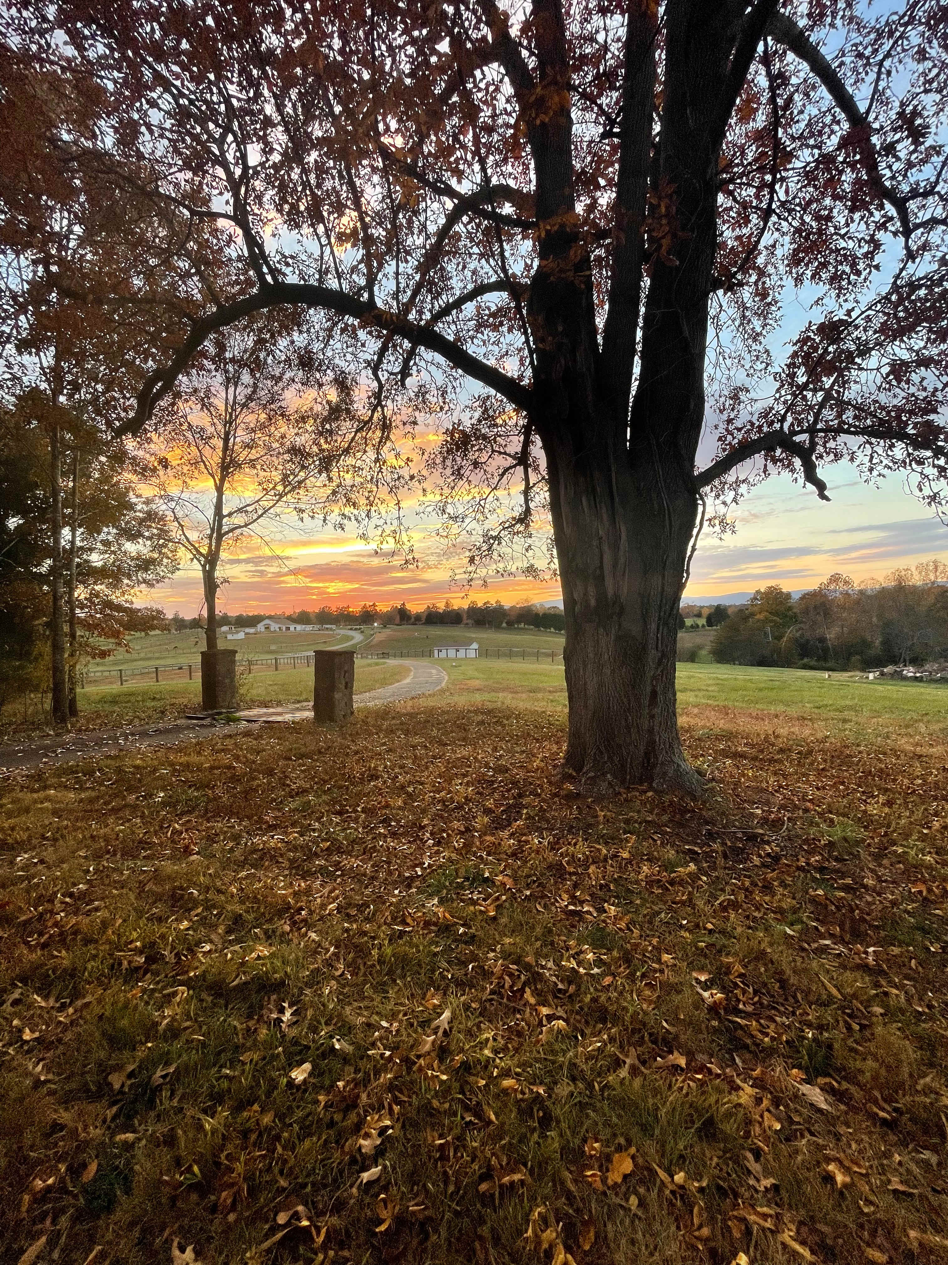 Private Farm Minutes to Cville