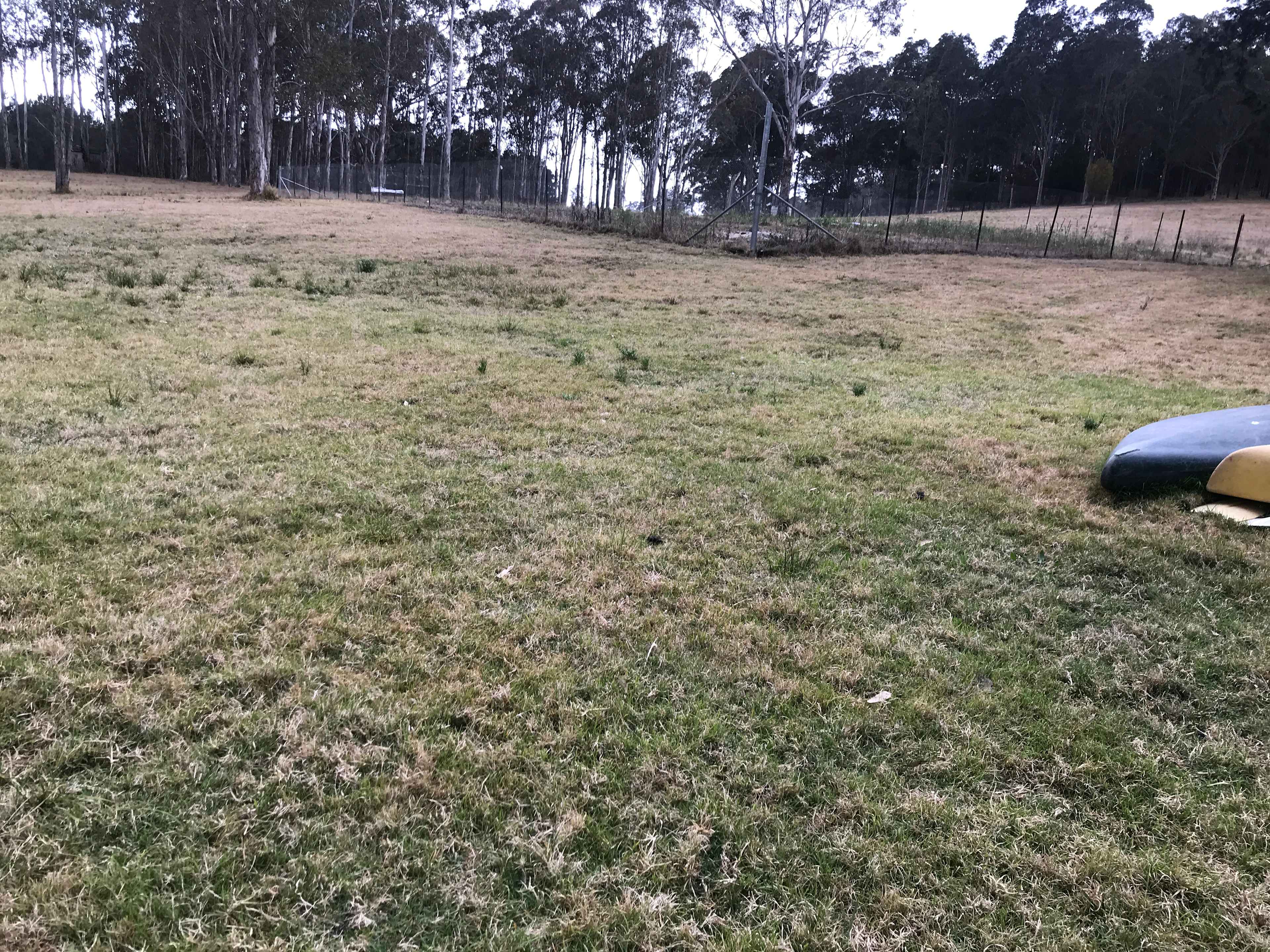 Camp area