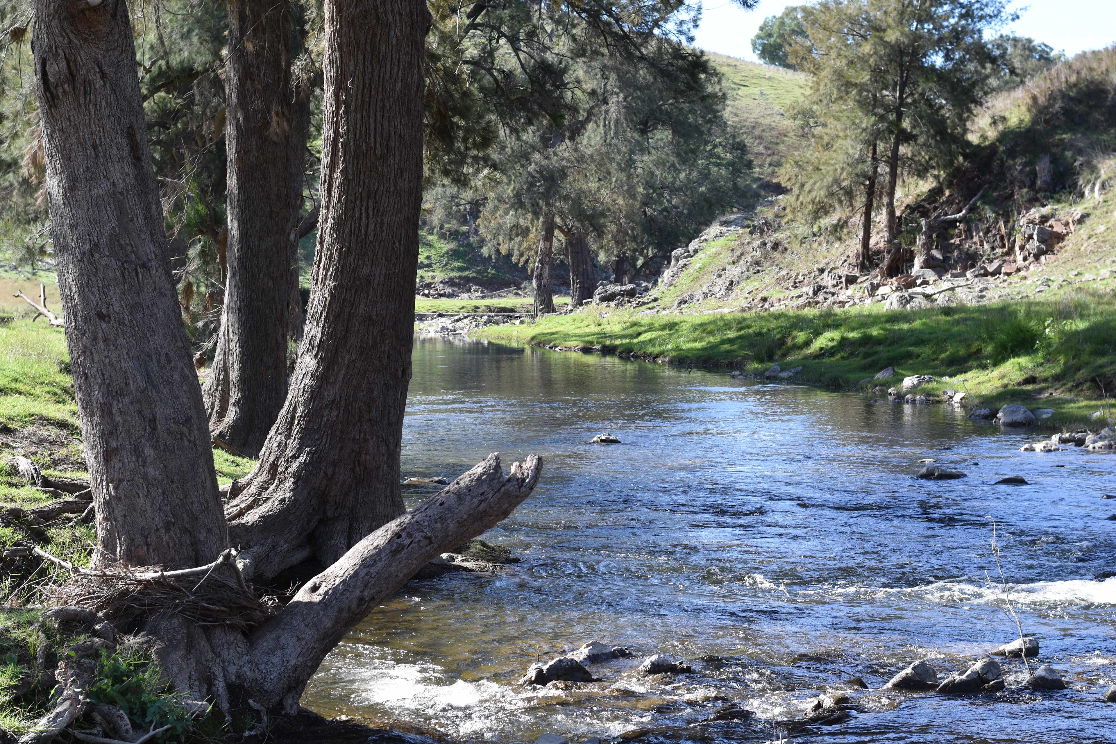 Bellandre Park
